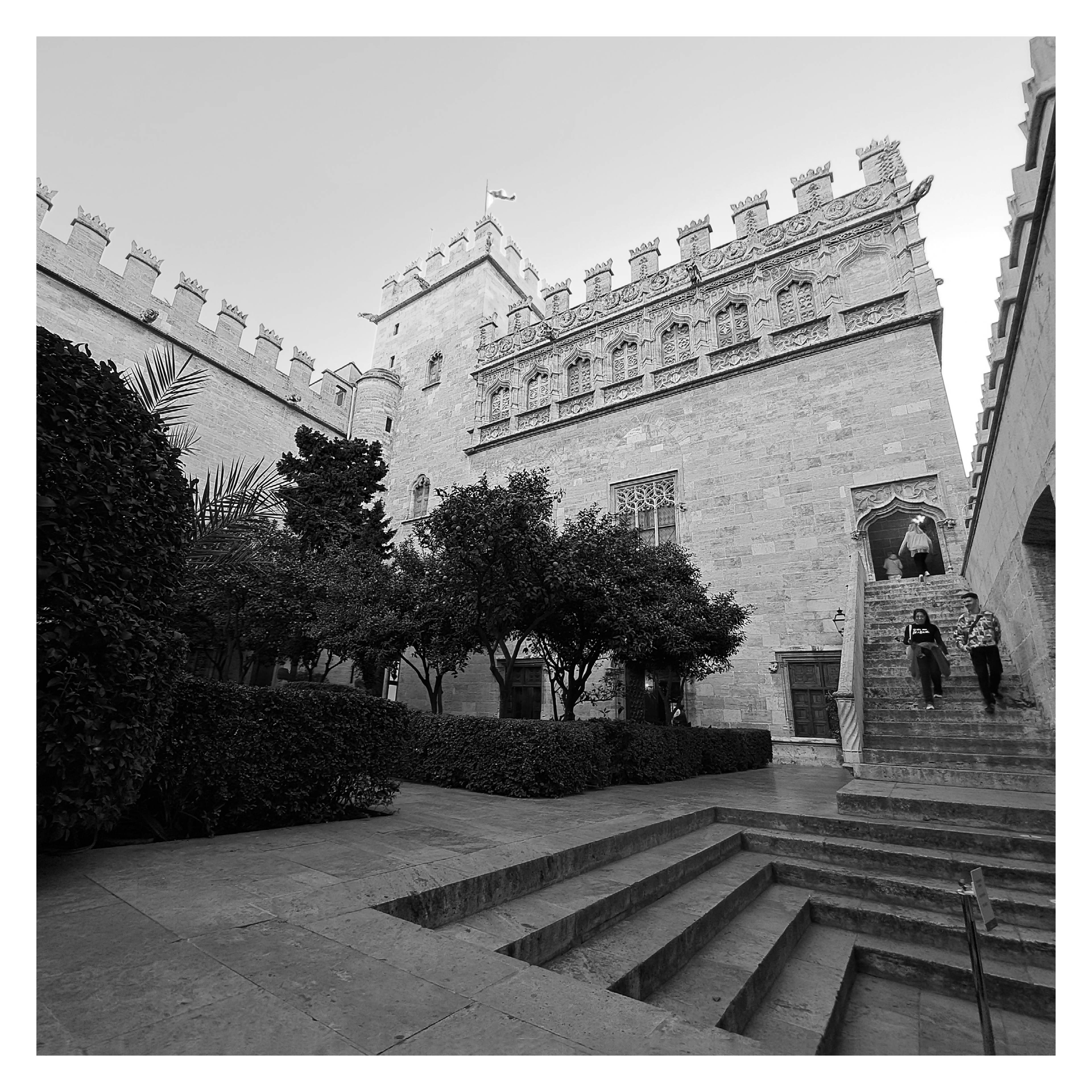 V23 | La Lonja de la Seda | This structure beautifully blends Gothic and Renaissance elements, with intricate carvings and an architectural balance using 'heavier' architectural elements, notably its stairs and roofline. The architectural precision contrasts with the organic natural landscaping of the serene Patio de los Naranjos (Orange Tree Courtyard).