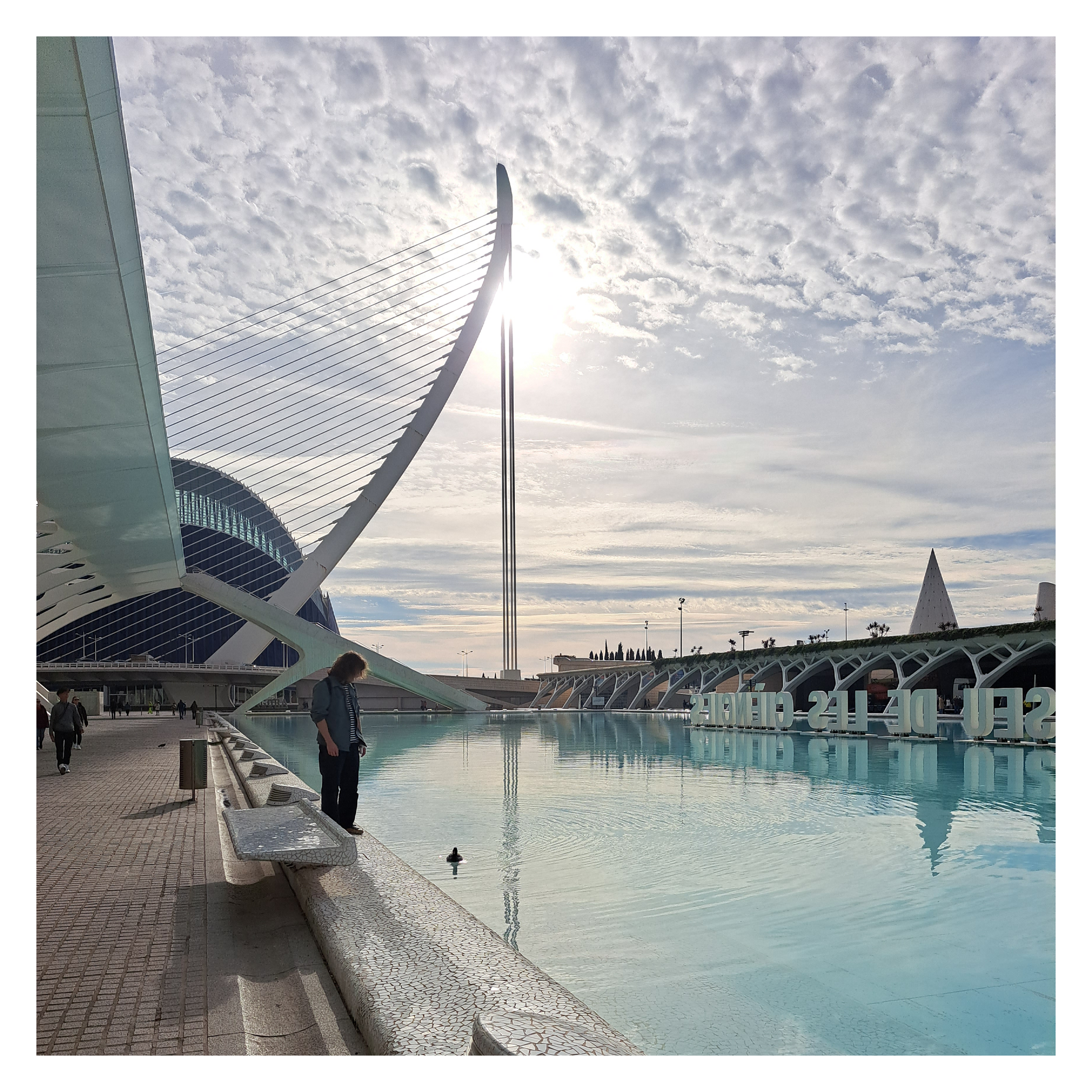 V23 | Ciudad de Las Artes y las Ciencias | The striking modular forms of this complex juxtapose fluidity with geometric precision, resulting in a skyline that is both piercing and tranquil.