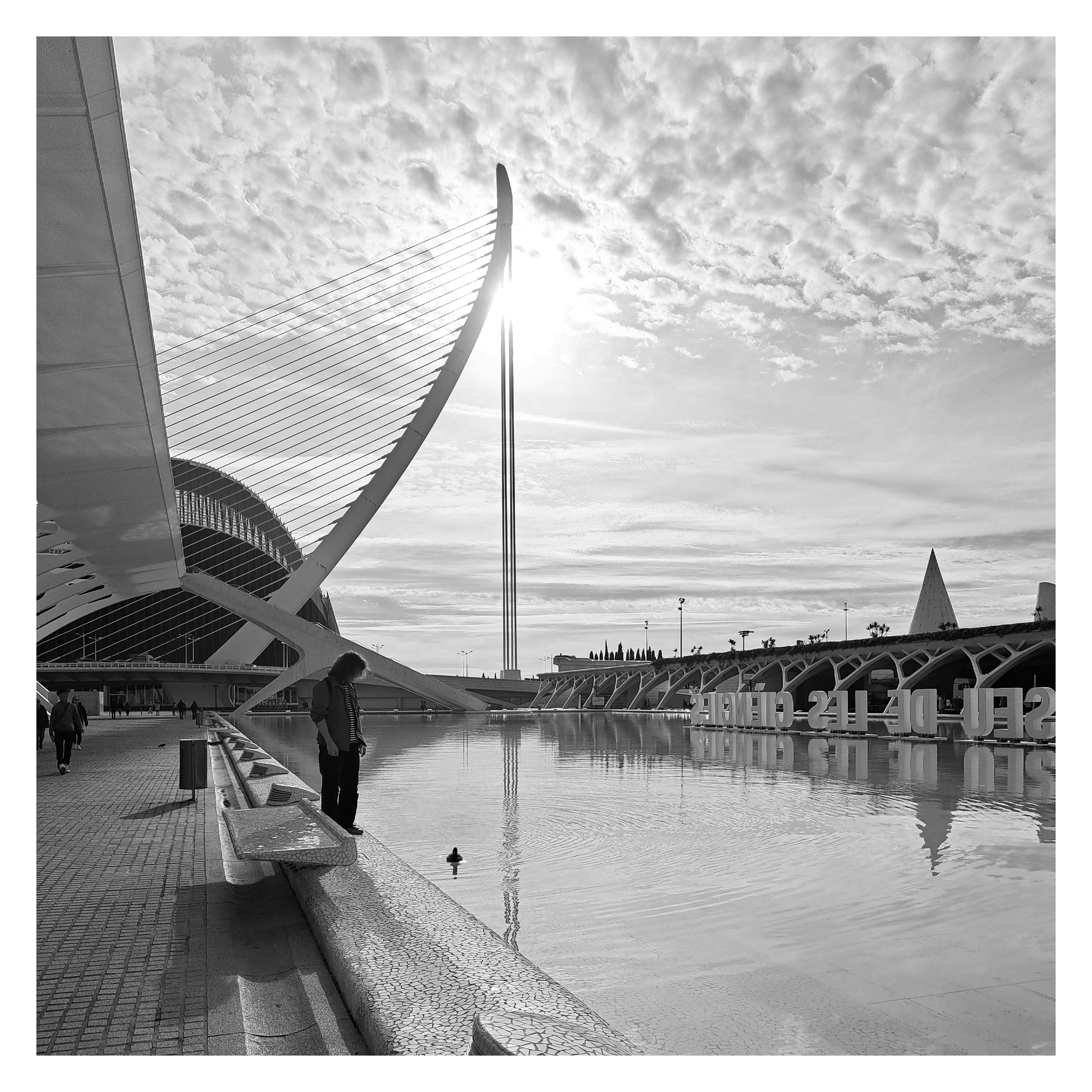 V23 | Ciudad de Las Artes y las Ciencias | The striking modular forms of this complex juxtapose fluidity with geometric precision, resulting in a skyline that is both piercing and tranquil.