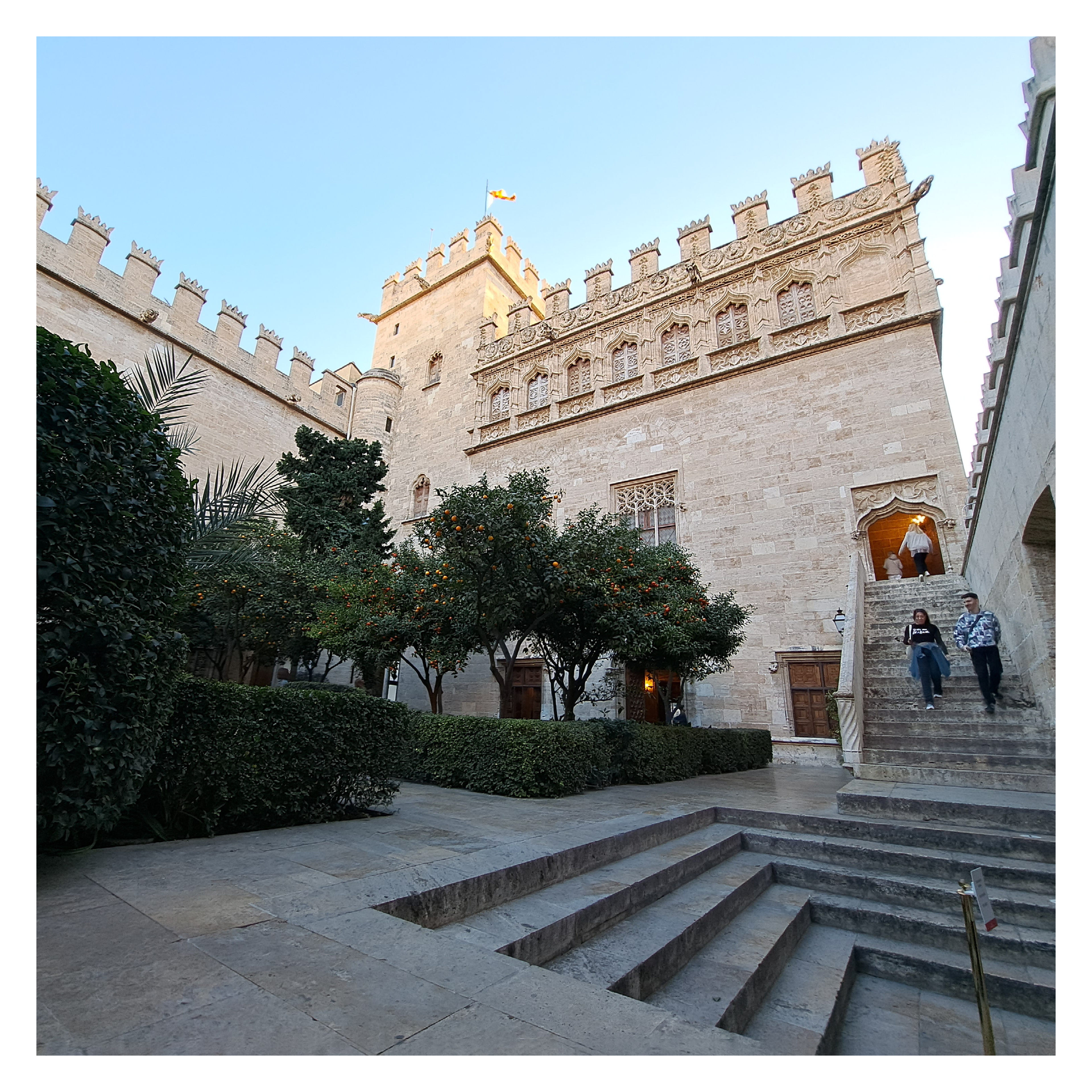 V23 | La Lonja de la Seda | This structure beautifully blends Gothic and Renaissance elements, with intricate carvings and an architectural balance using 'heavier' architectural elements, notably its stairs and roofline. The architectural precision contrasts with the organic natural landscaping of the serene Patio de los Naranjos (Orange Tree Courtyard).