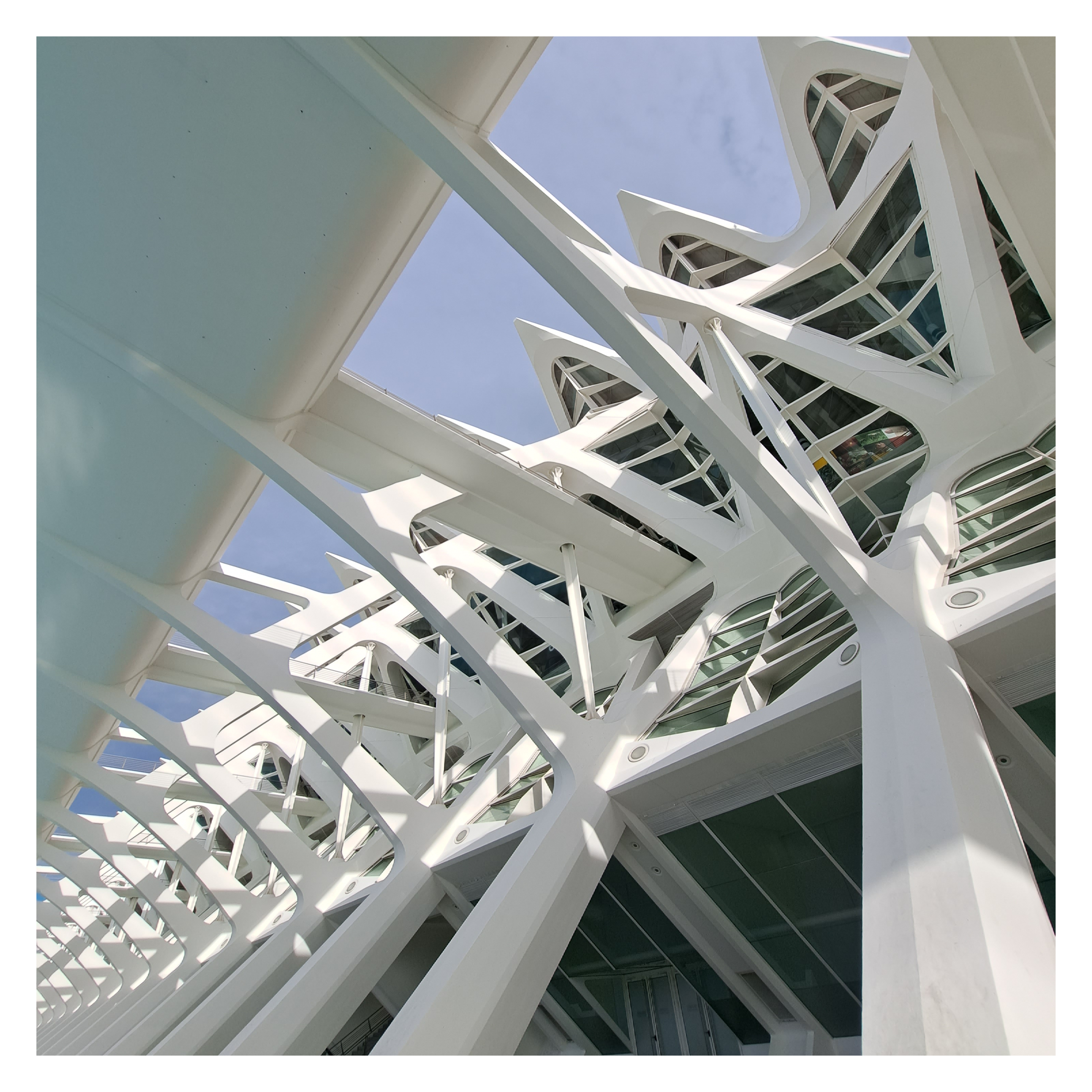 V23 | Museu de les Ciencias Principe Felipe | The repetition of dynamic structural elements in this design, creates an abstract aesthetic that compliments the museum's futuristic atmosphere.