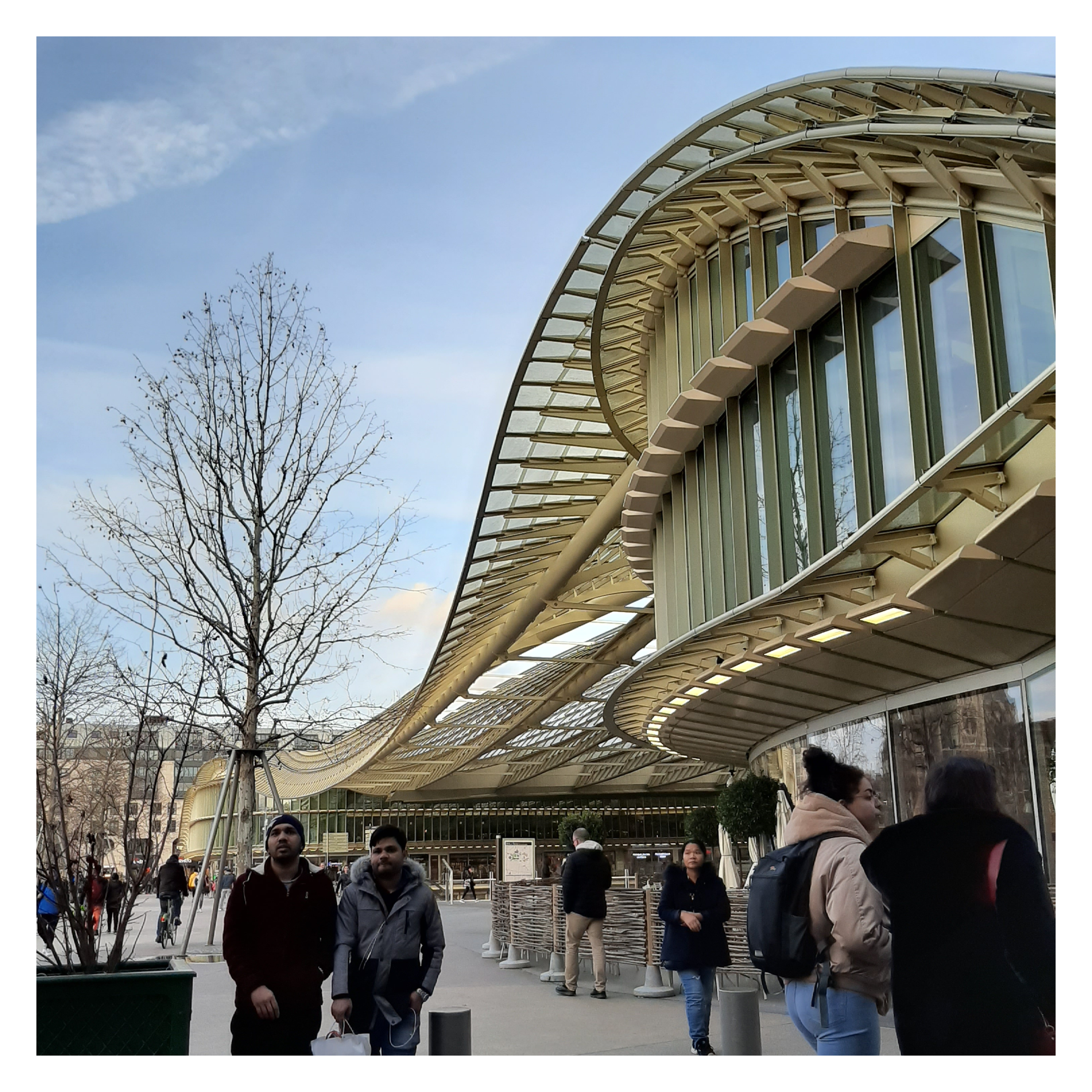 P20 | Westfield Forum des Halles | The fluid, skeletal curves of this modular structure create a harmonious blend of indoor and outdoor spaces. The undulating gills in the roof framework give an impression of movement and lightness.