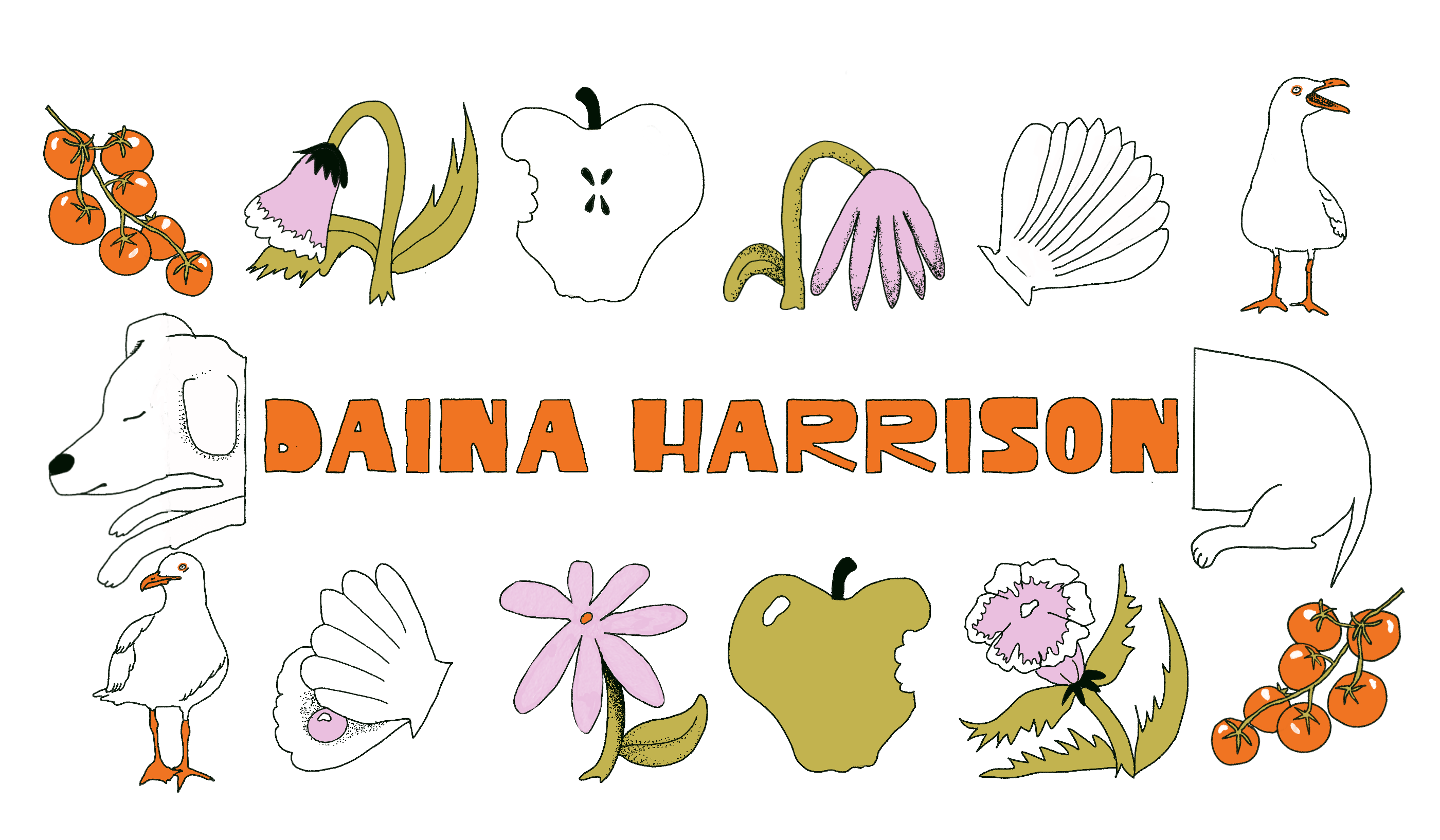 Daina Harrison