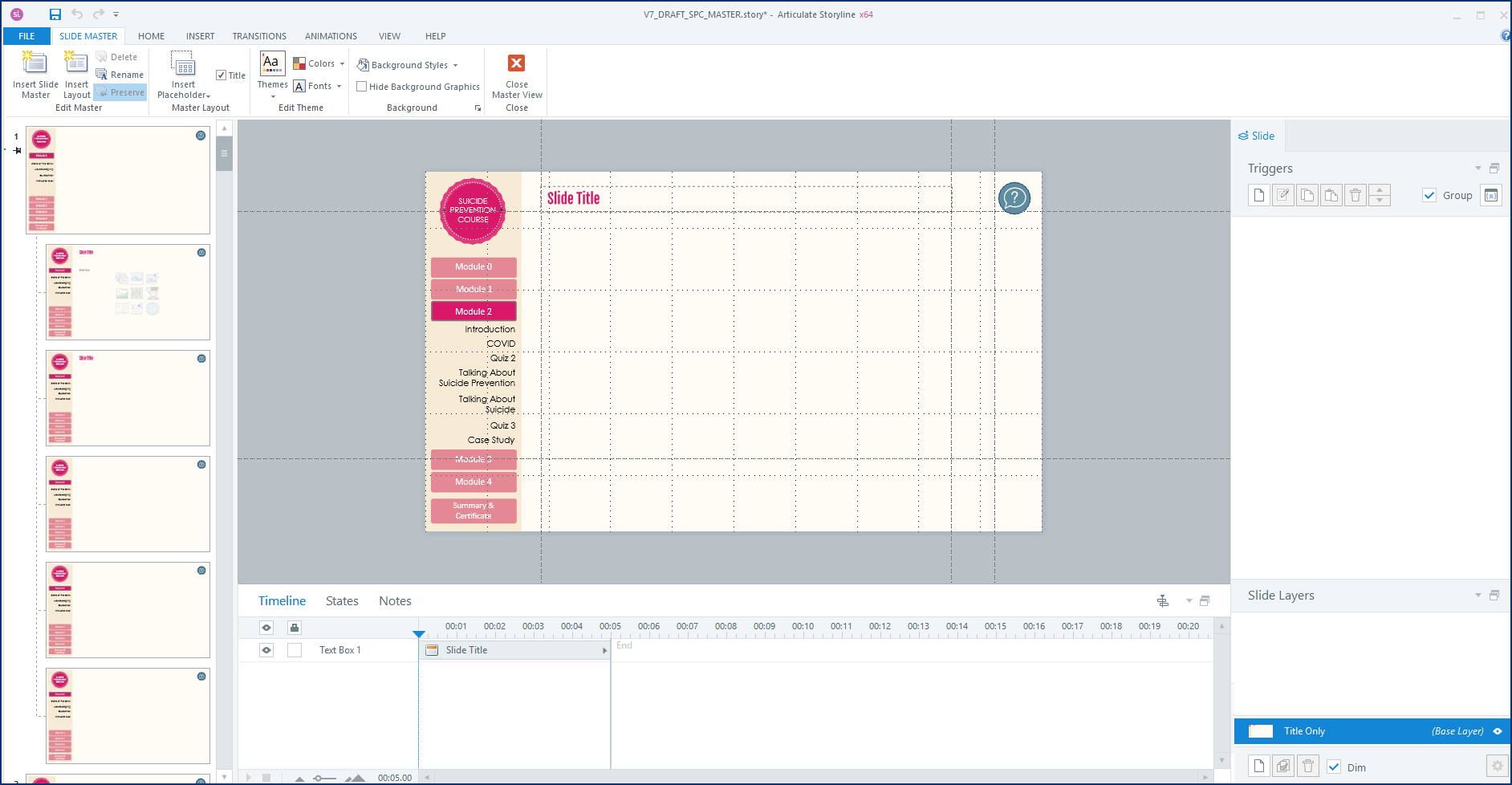 Custom Storyline template ensuring accessibility and long-term content sustainability.