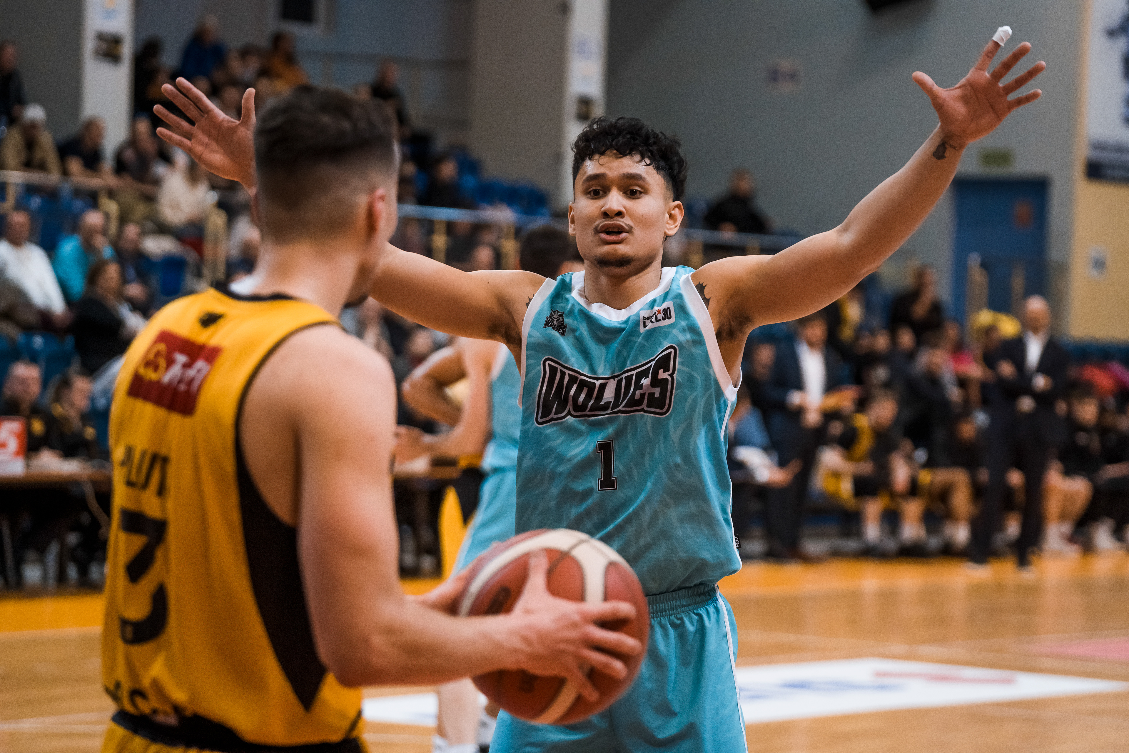 Trefl Sopot - BC Wolves Vilnius