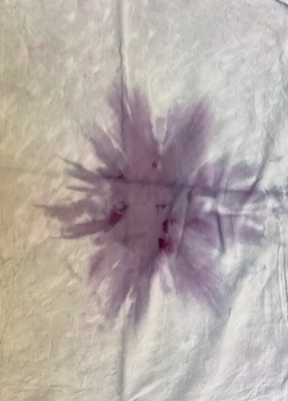 Hibiscus (temperature control)