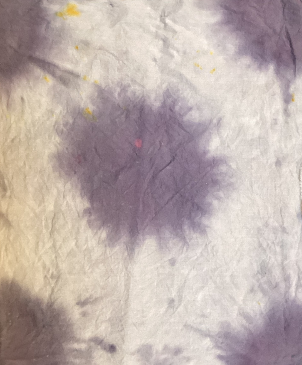 Purple cabbage (temperature contol)