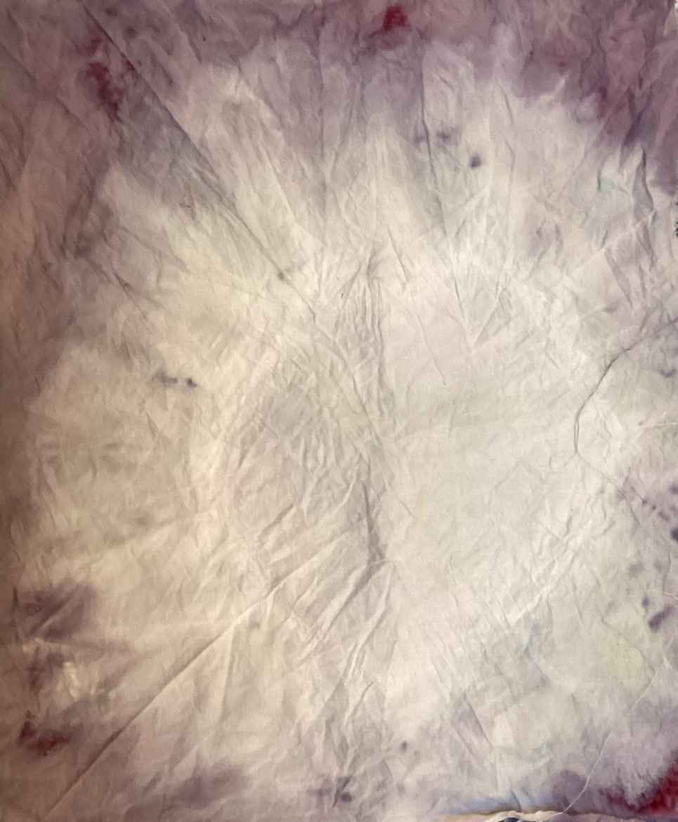 Hibiscus gradient attempt 2 (temperature control)