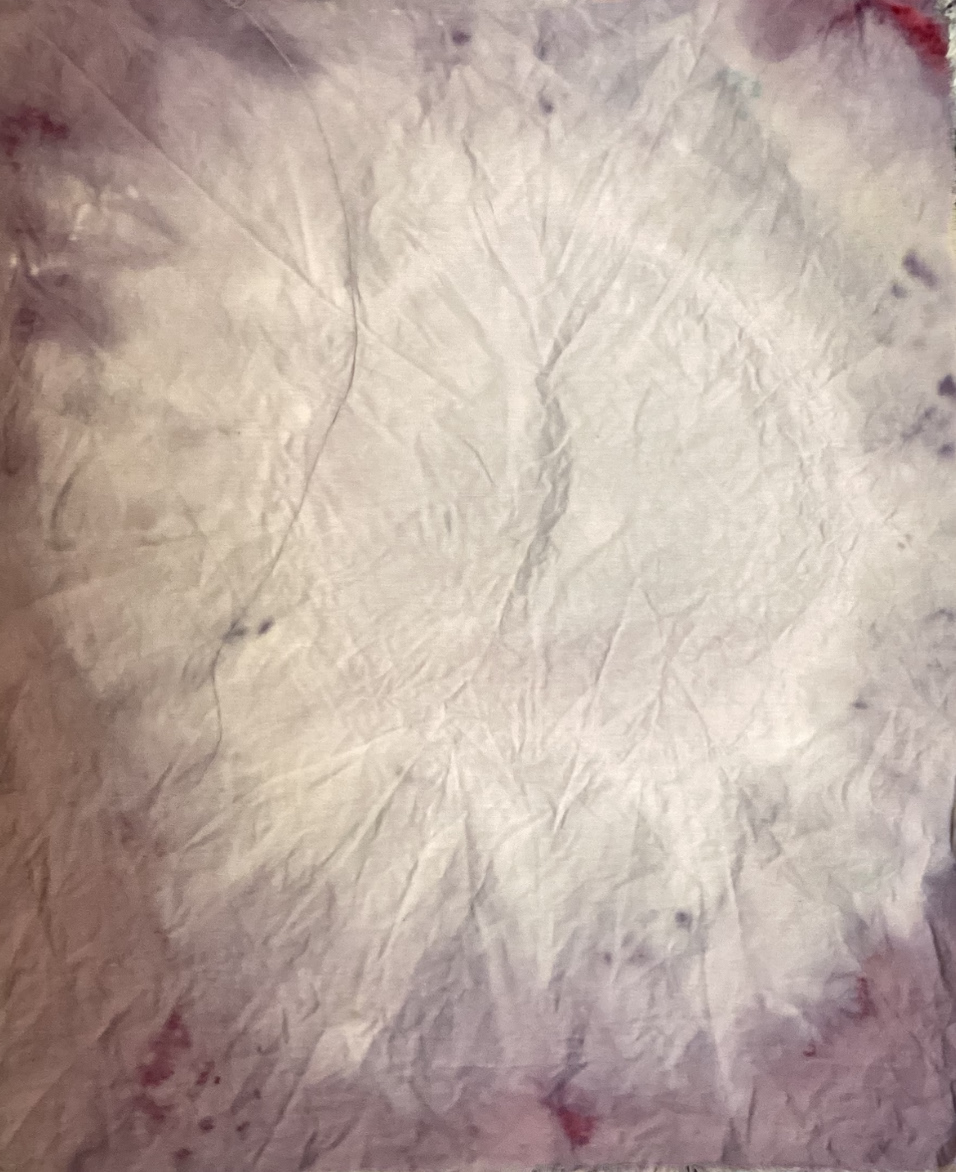 Hibiscus gradient attempt 1 (temperature control)