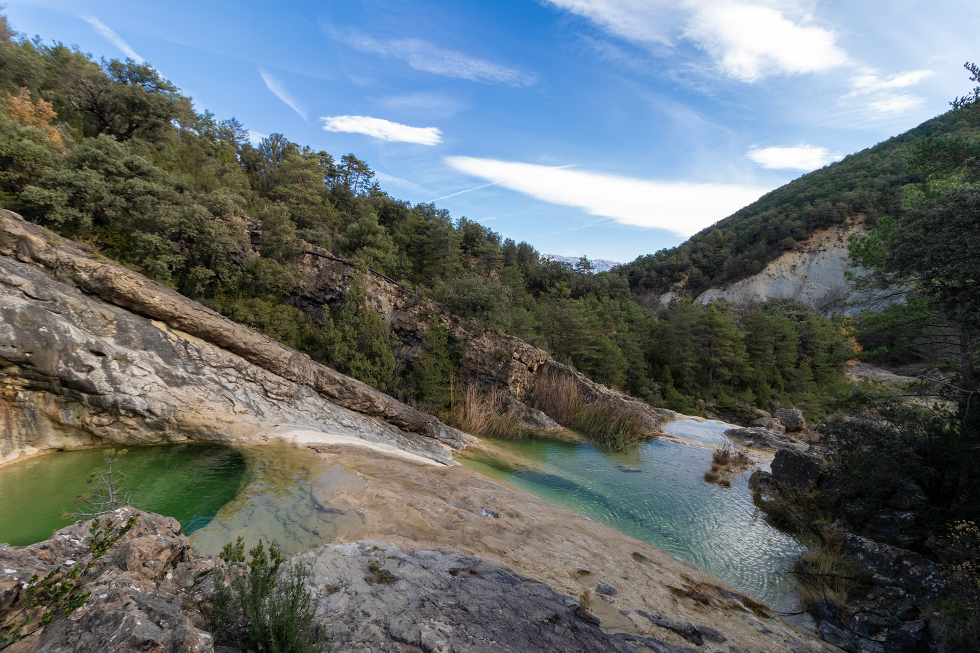 tranquil natural landscape with green water pools, rocky terrain, lush green trees, and a clear blue sky