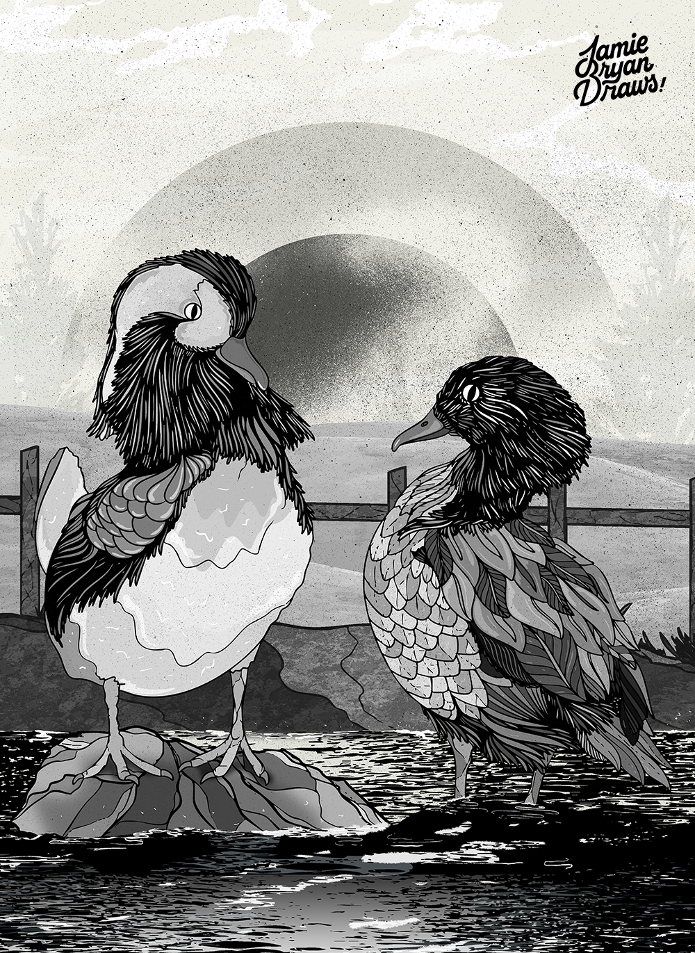 Illustration of two Mandarin Ducks gliding along a calm river in the countryside. Rendered in black and white, the piece highlights light, shadow, and reflection — a symbolic contrast for a species known for its vibrant colour.