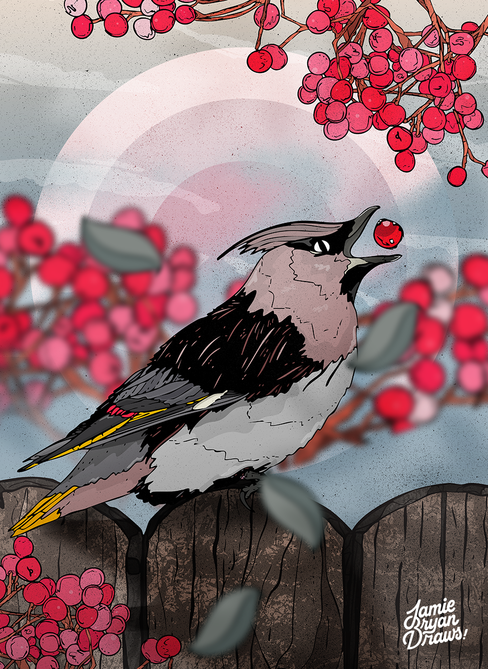 Illustration of a Bohemian Waxwing perched on a wooden fence, eating bright red berries on a crisp winter morning. The scene is softly lit, capturing the calm beauty of the season with subtle texture and gentle tones.
