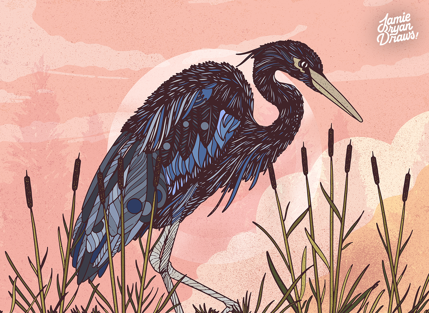 Hand-drawn illustration of a Great Blue Heron walking through reeds and tall grass against a cloudy sunset background. Nature-inspired bird artwork emphasizing graceful form and atmospheric light.
