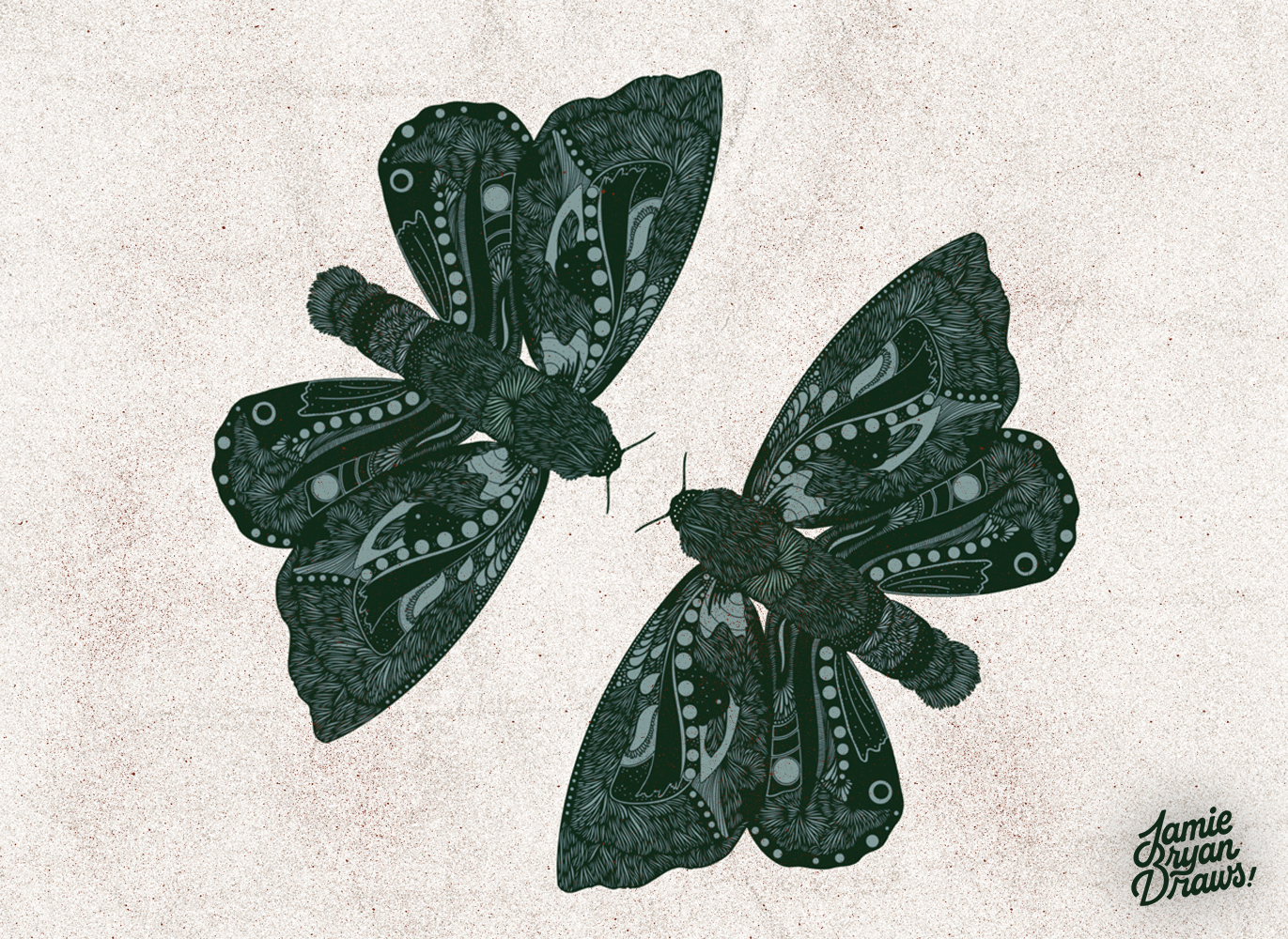 Hand-drawn illustration of two green garden hawk moths flying in a circular formation against a grey speckled background. Nature-inspired artwork emphasizing symmetry, movement, and delicate detail.