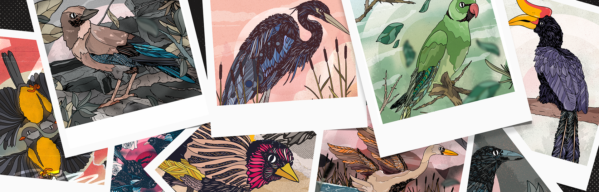 An illustration header that showcases a series of hand drawn Illustrations of birds if vibrant colours and unique poses, the illustrations are displayed across polaroid pictures, piled up on the ground