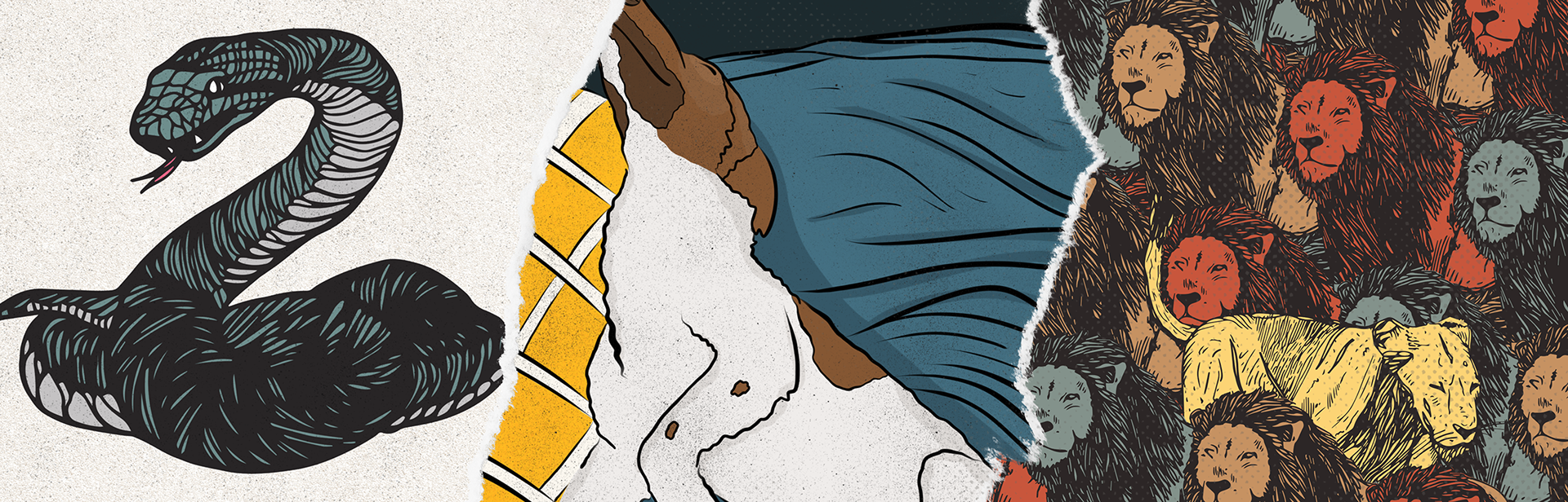 A header image for the wildlife section of the portfolio, this banner shows varios wildlife illustrations torn and overlaid into a collage. Snakes, dogs, lions and more