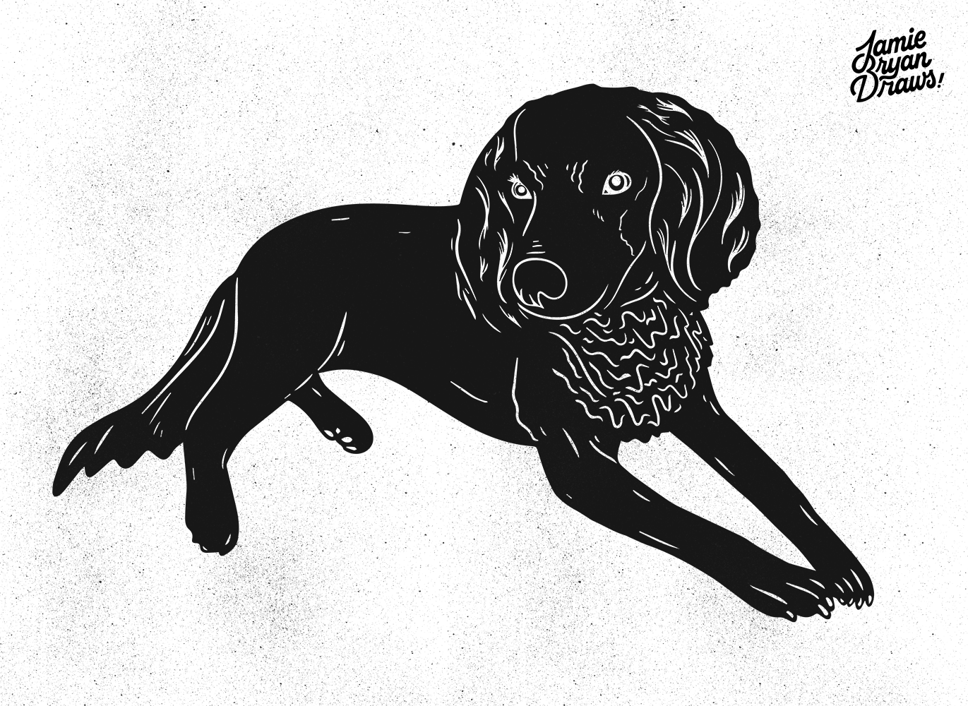 Black-and-white hand-drawn illustration of a small dog named Scout, resting on the floor in a relaxed pose. Pet-inspired artwork emphasizing form, posture, and minimalistic style.