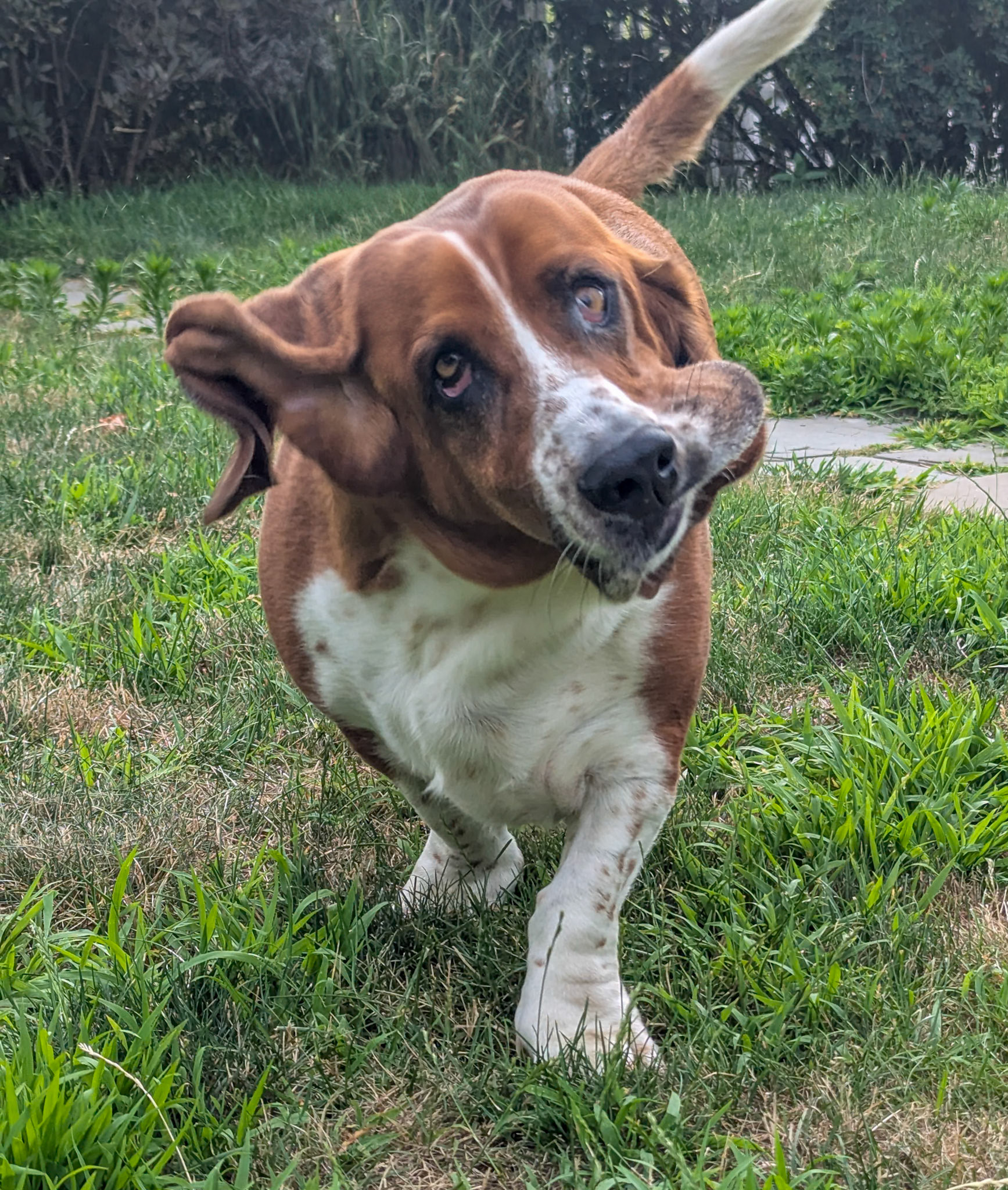 How I actually look in pictures