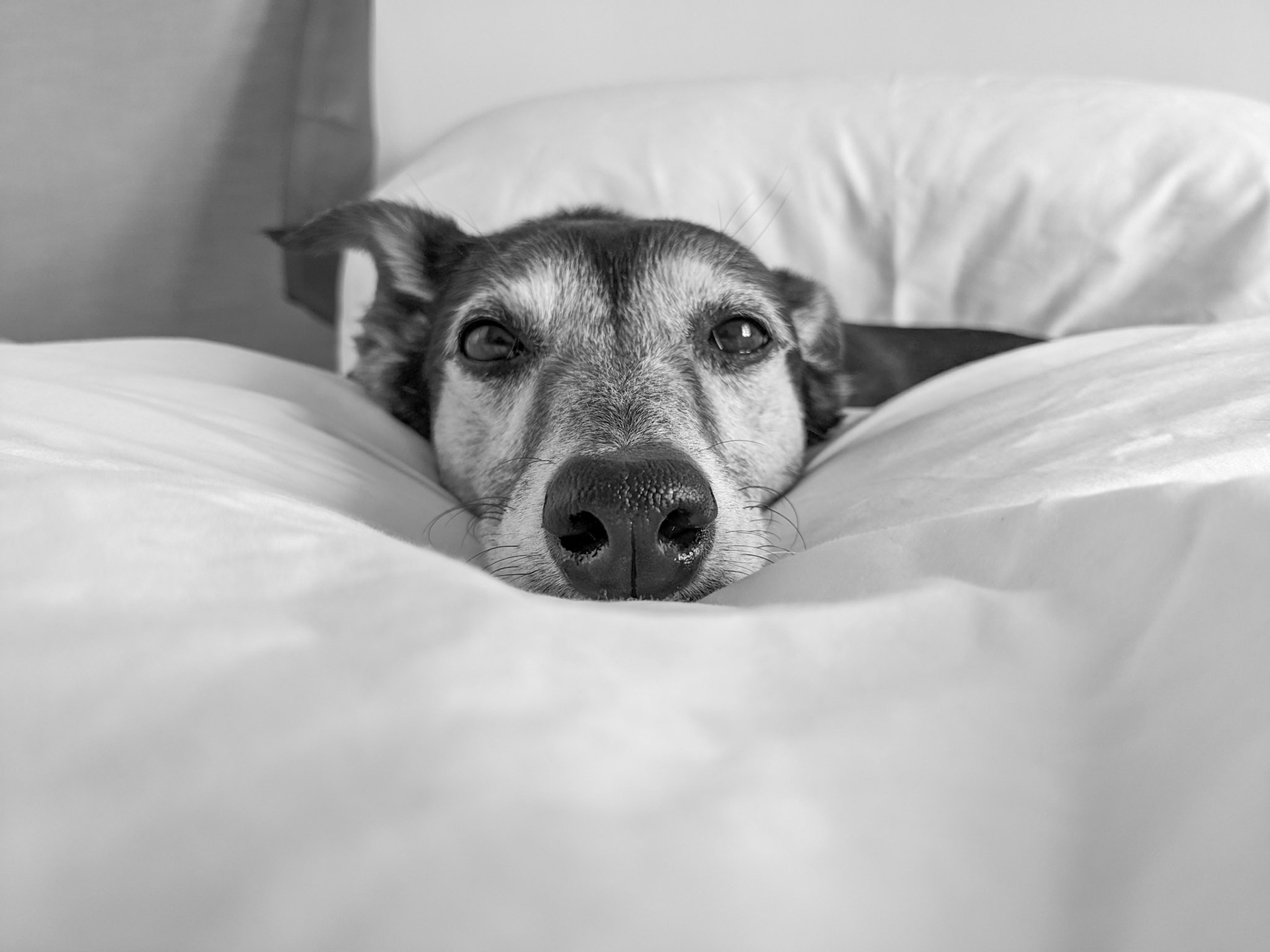 Hana
