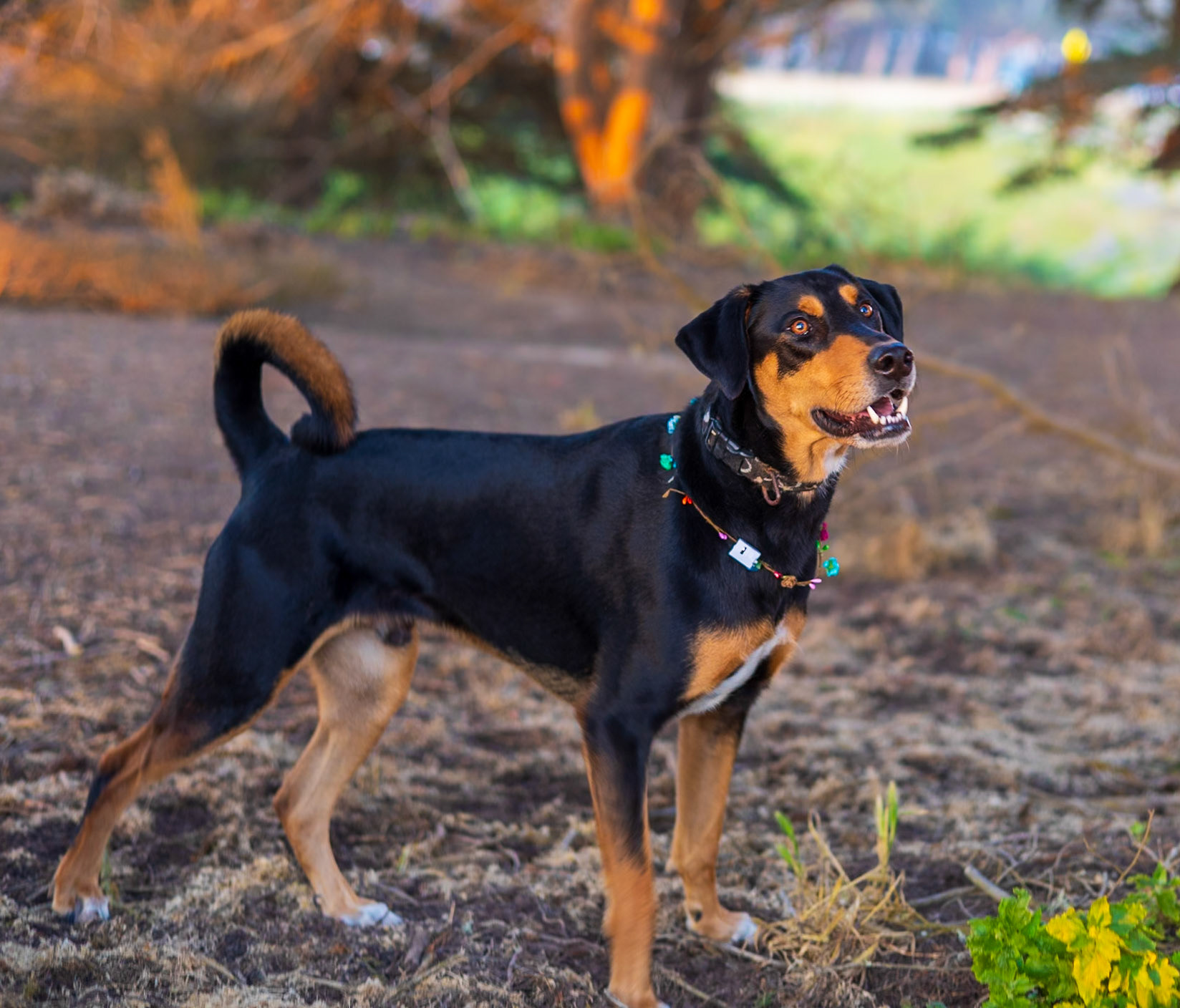 The golden hour makes EVERYBODY look good