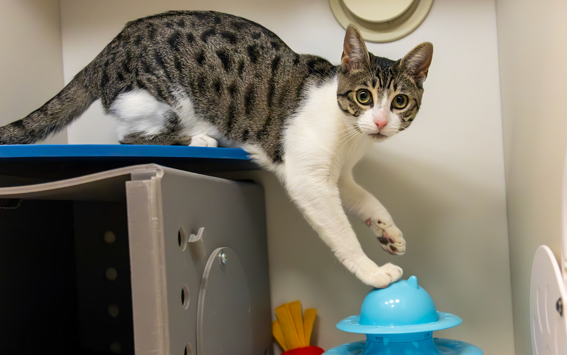 You're home early...