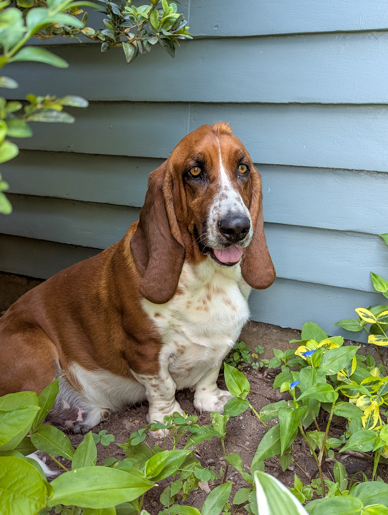 How I Think I Look in Pictures