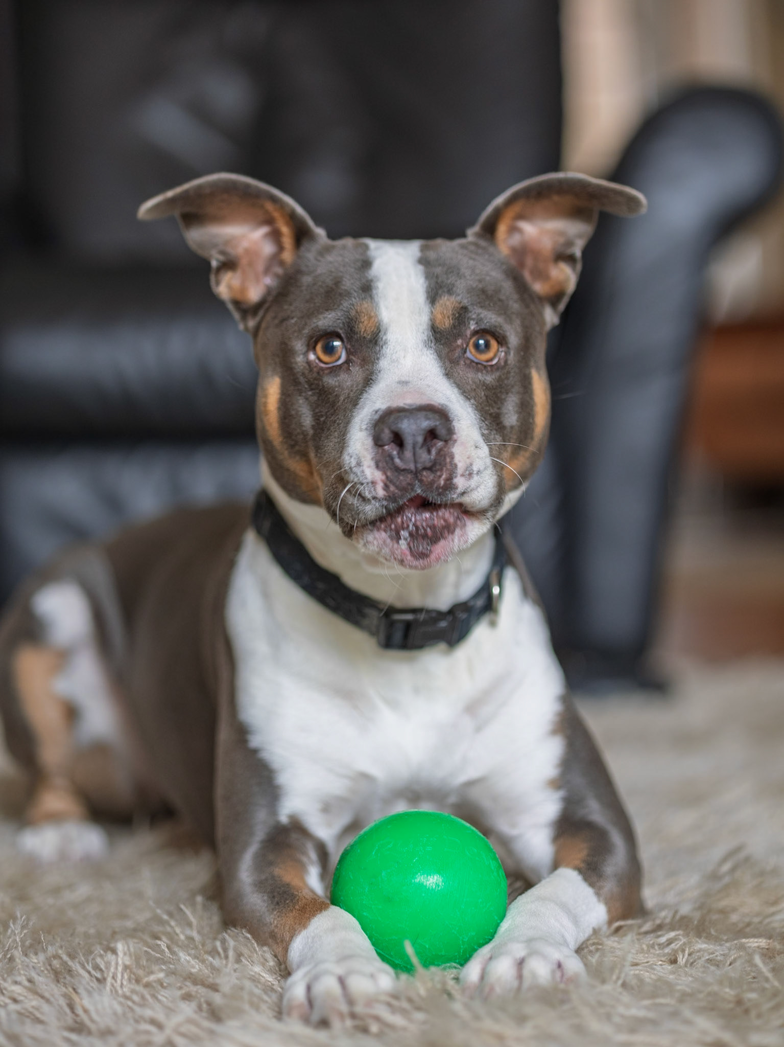 Pebbles