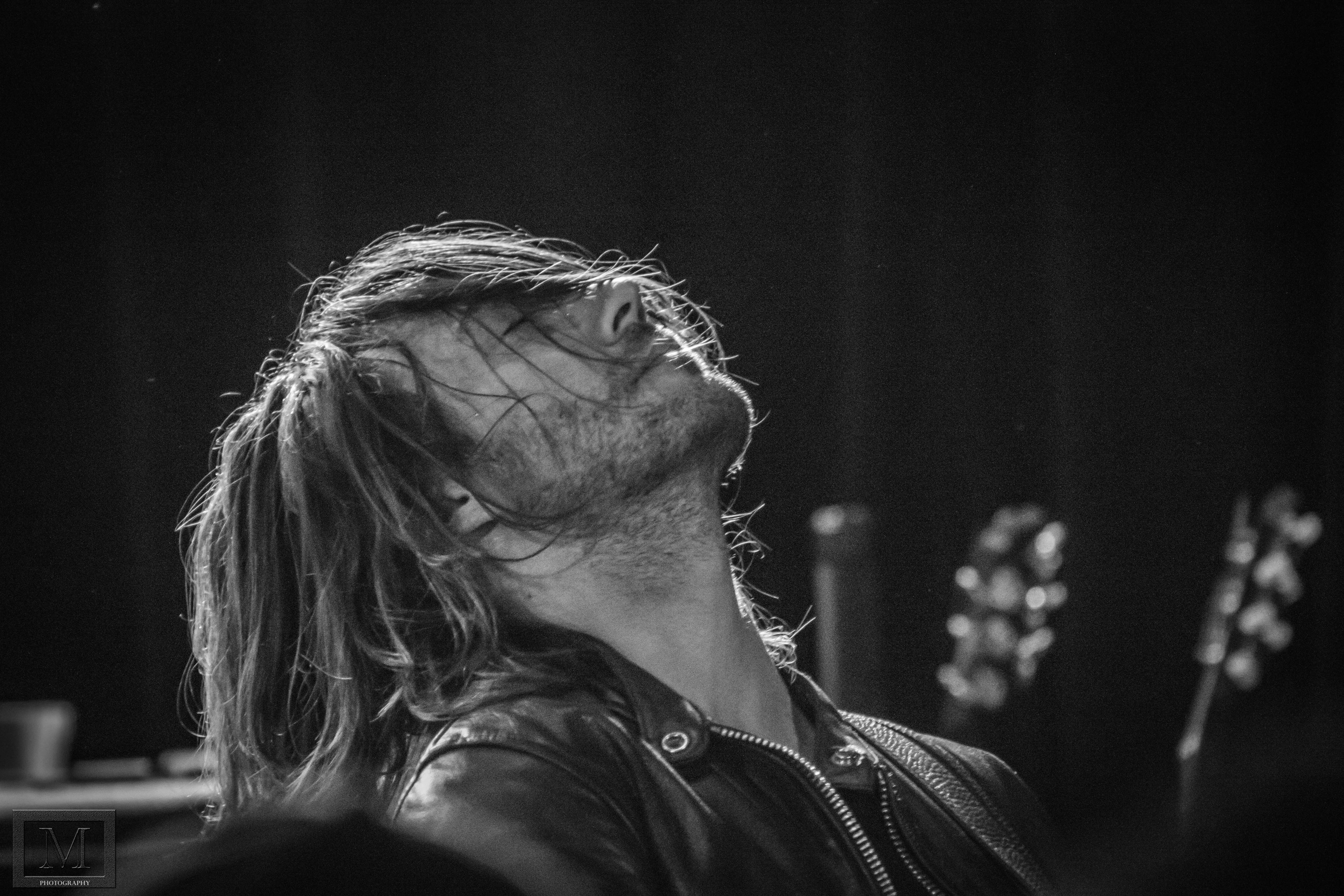 Frankie and the Studz