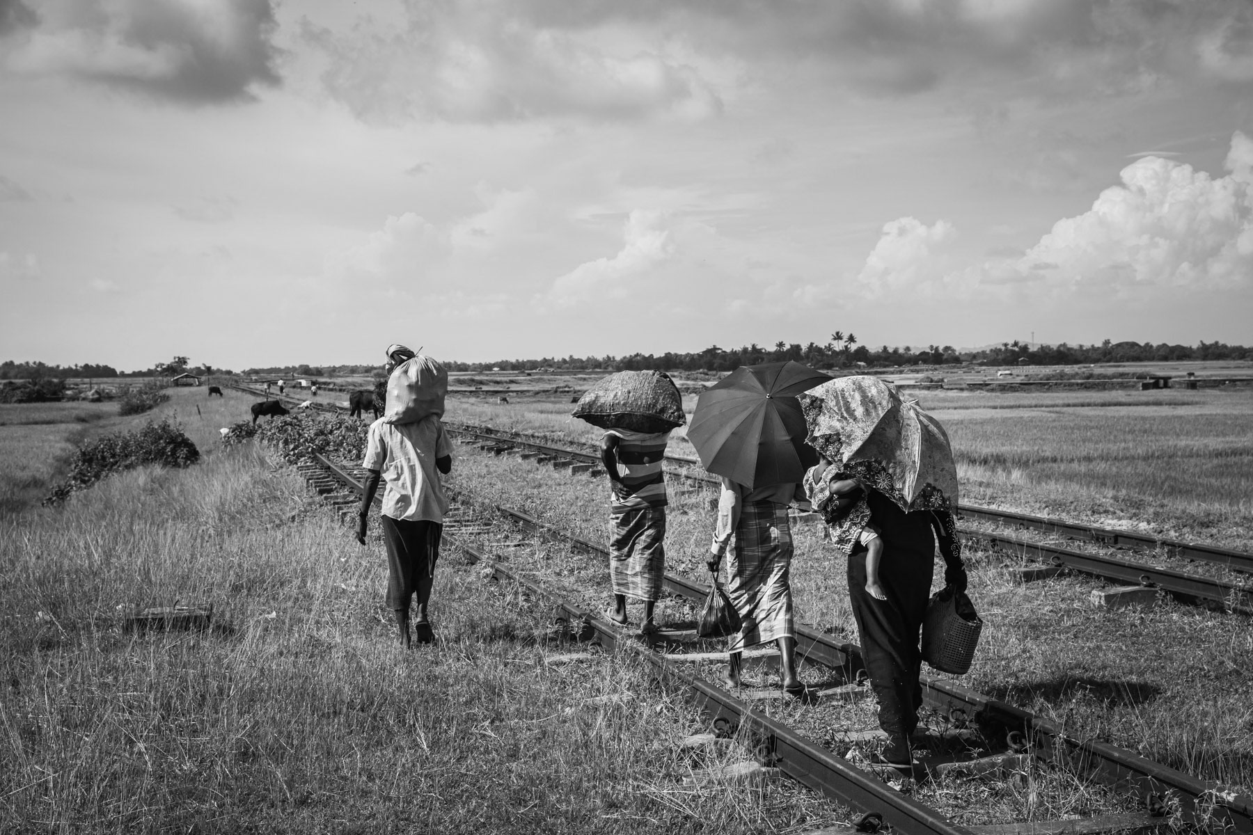 Rohingya villagers returning by foot to their village after bying commodities in the Rohingya IDP camps. Rohingya are not allowed to travel freely to the Sittwe market and need to procure their needs at higher prices in the sealed off IDP camps. Northern Sittwe township, Rakhine, September 2019