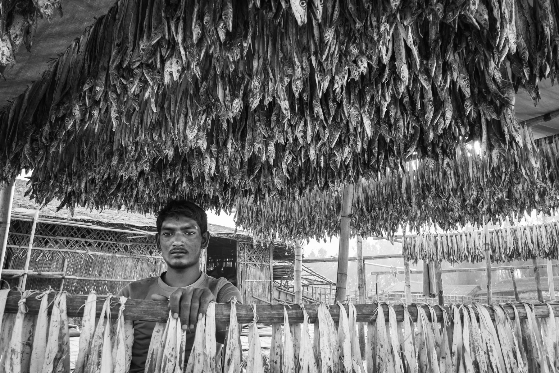 Fish drying areas near Cox's Bazar where numerous Rohingya refugees can find low paid jobs. Najirar Tak, Cox's Bazar, Bangladesh, February 2017