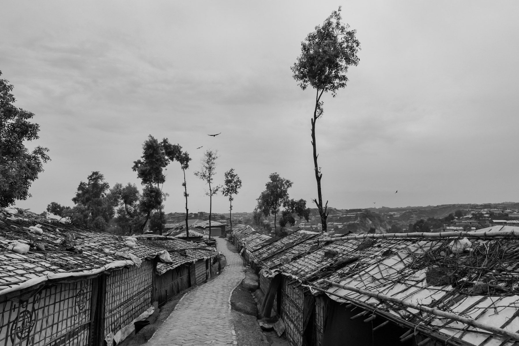 New makeshift blocks for Rohingya refugees from Myanmar. Over three quarter of a million refugees have fled persecution in neighbouring Myanmar since October 2016. Hakimpara refugee camp, Bangladesh, October 2018