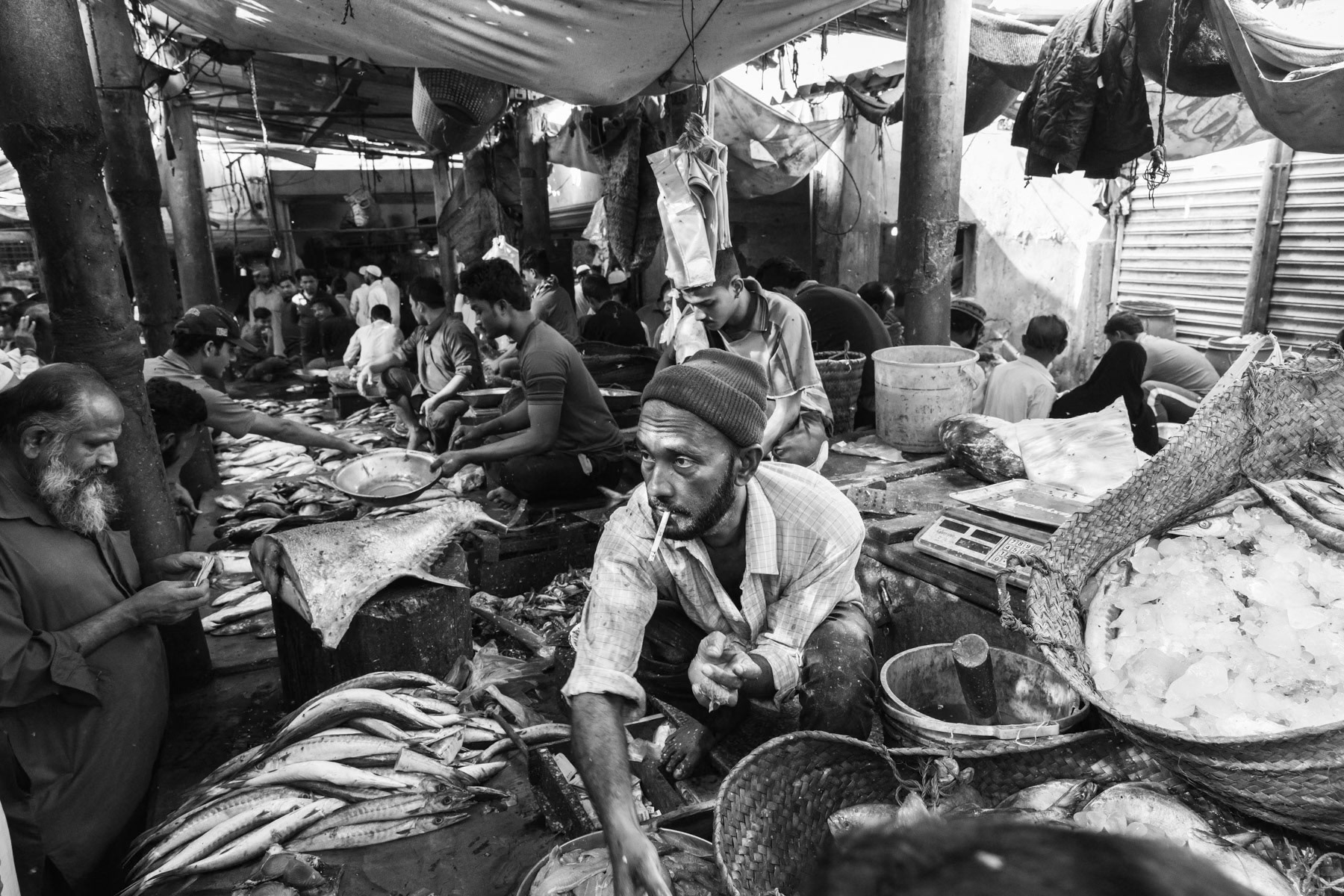 A lot of the 300,000 strong Rohingya community of Pakistan is involved in fisheries like their ancestors in Burma. Burma Colony fish market, Karachi, Pakistan, December 2016