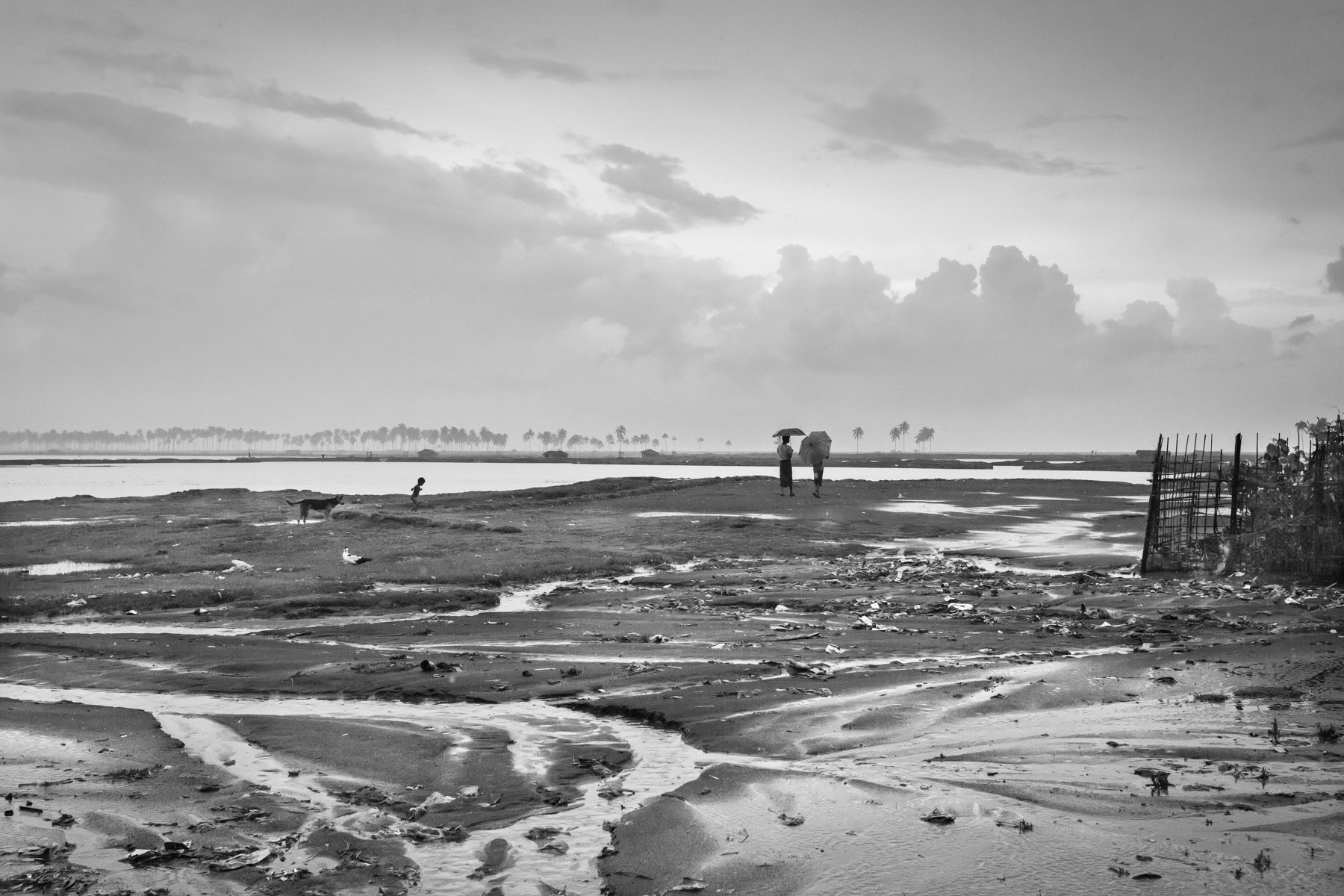 The edge of the camp settlement near the flooded areas. Baw Du Pha IDP camp for the forcibly displaced Rohingya community of Sittwe township, Myanmar, October 2016