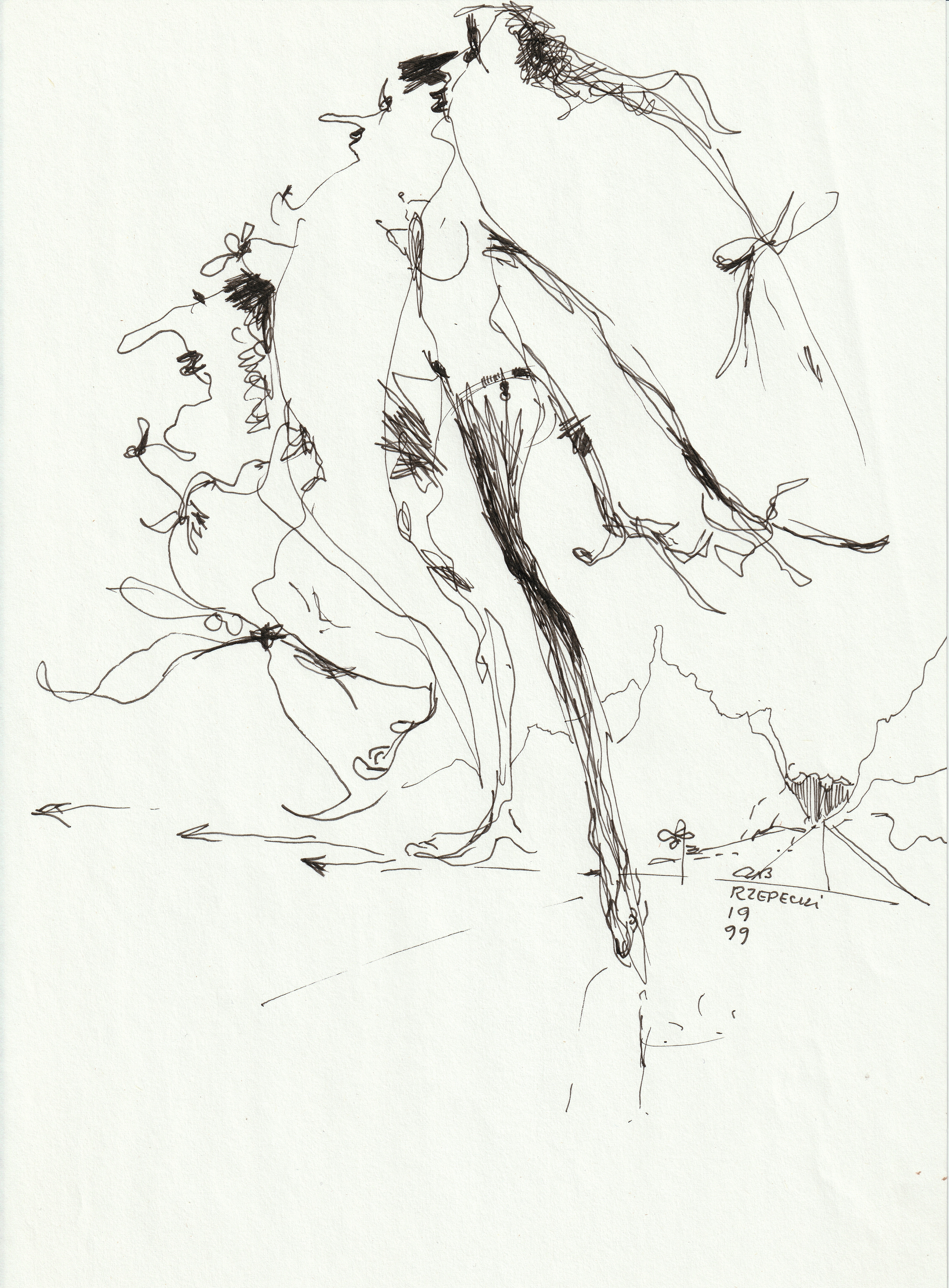 C11 30x21