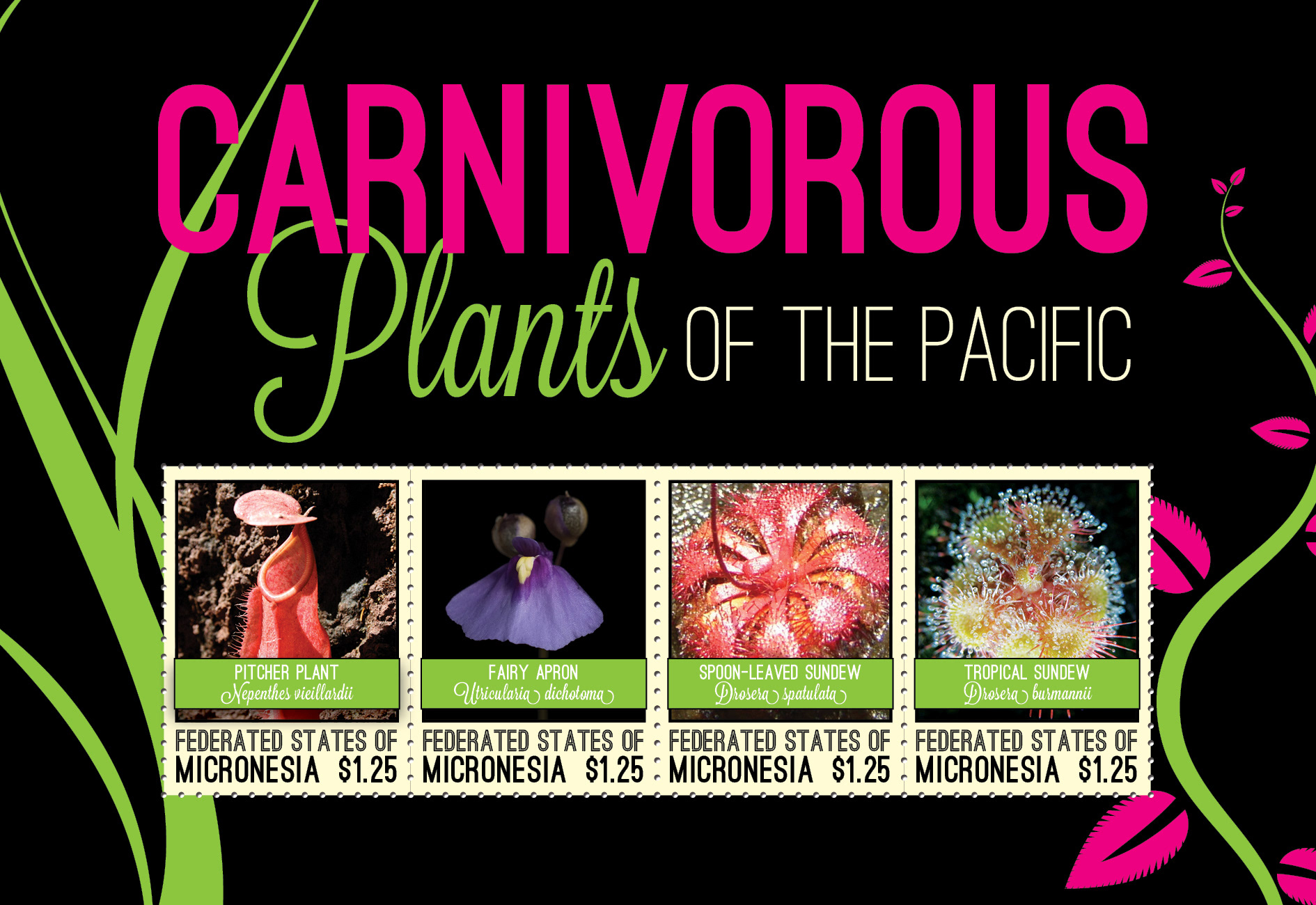 Carnivorous Plants for Micronesia