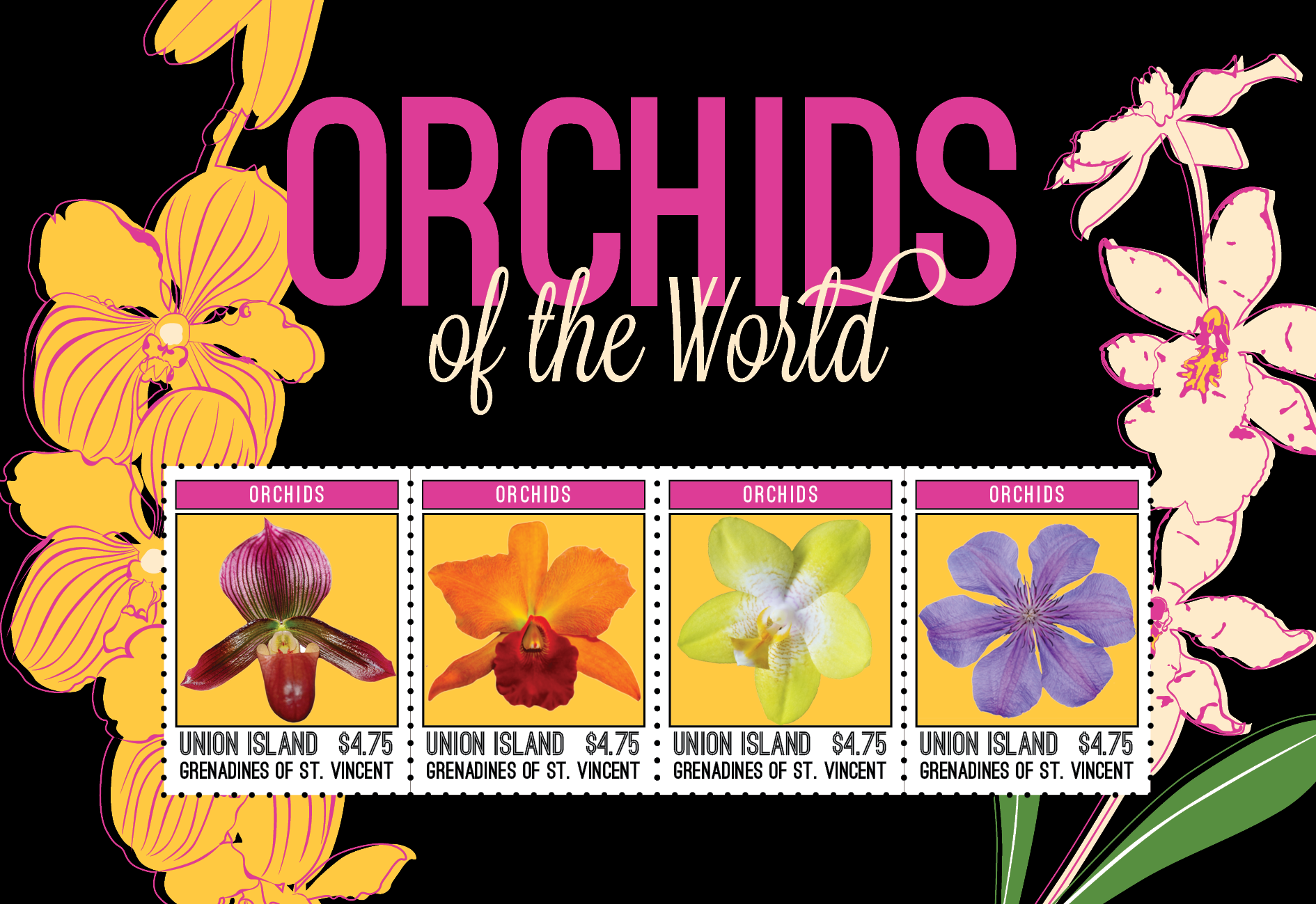 Orchids for Union Island