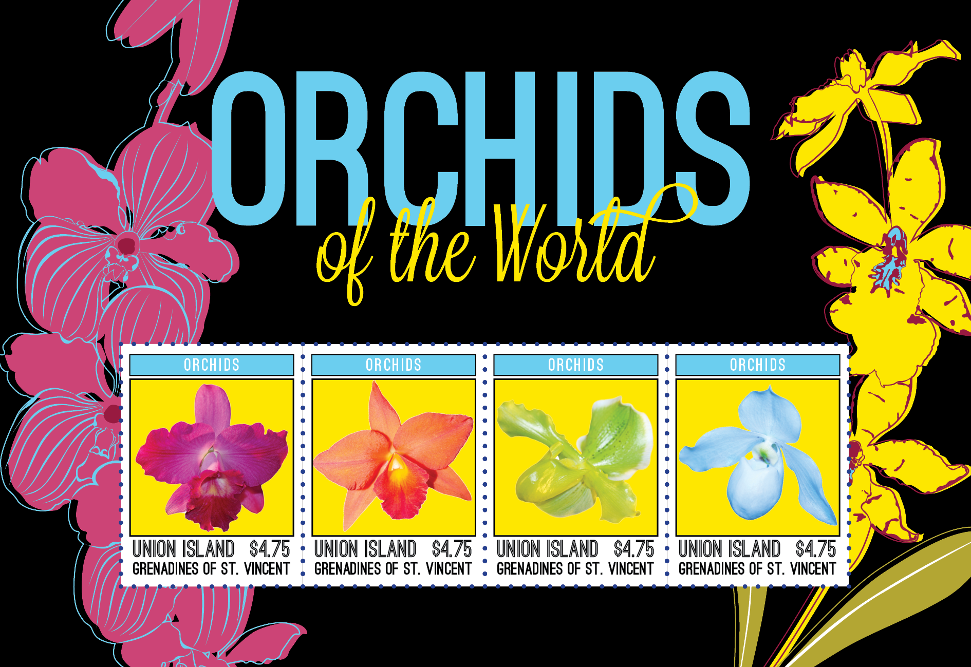 Orchids for Union Island