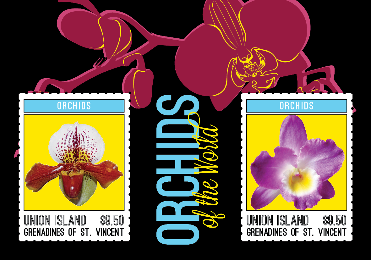 Orchids for Union Island
