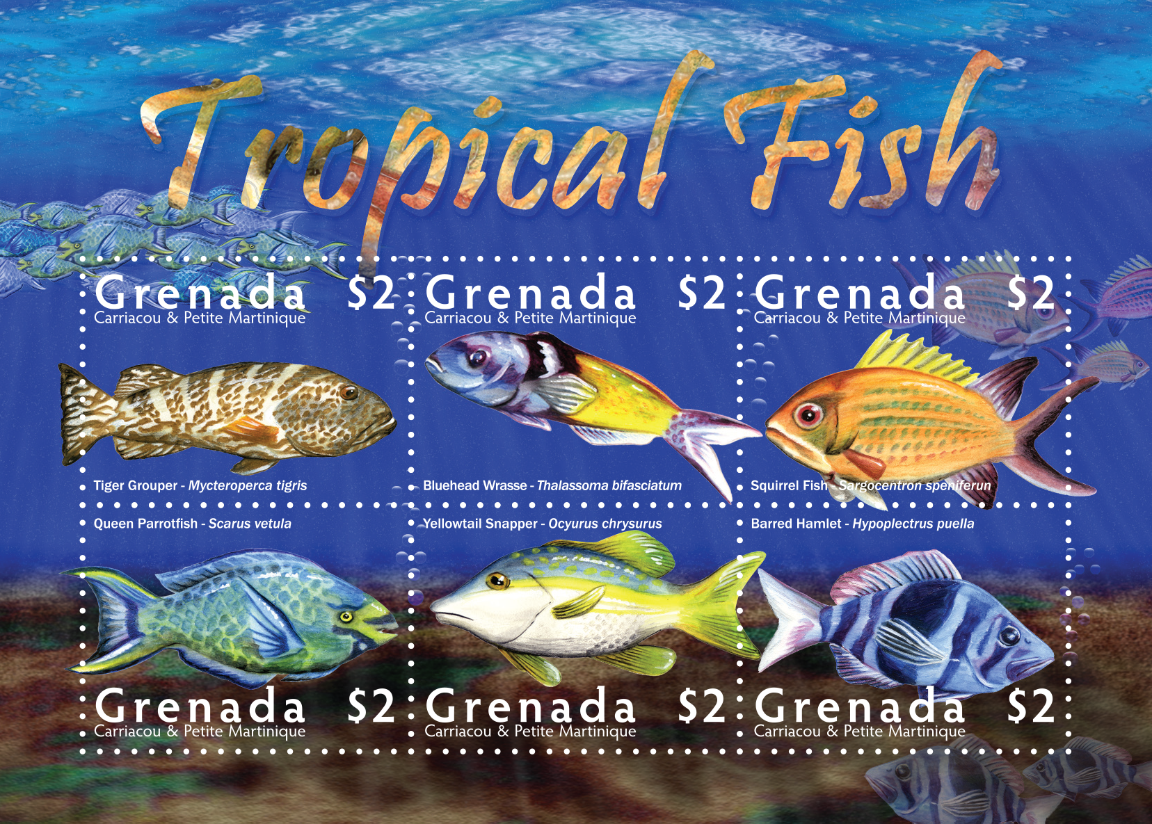 Tropical Fish for Grenada | I used watercolor images of the fish illustrated by Manuel Servin, and a combination of Photoshop filters to create the background scene.