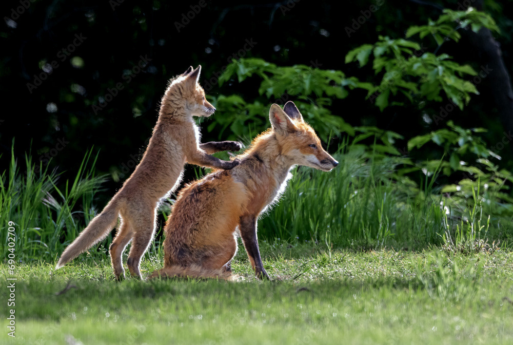 "Hey, Dad...What do You See?" 4U0A5131