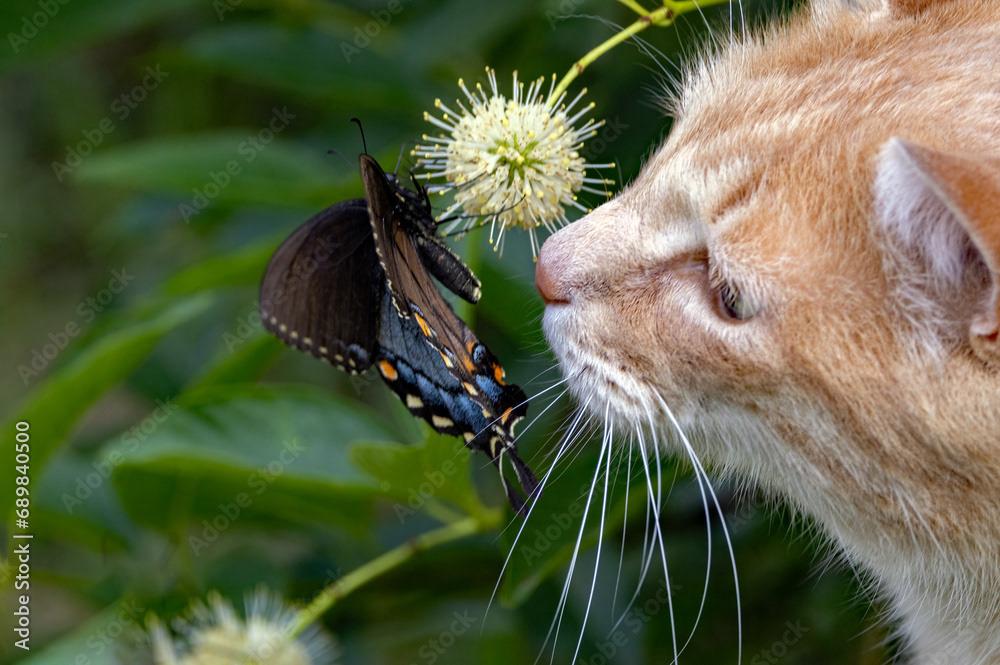 We Should Stop and Smell The....Butterflies???