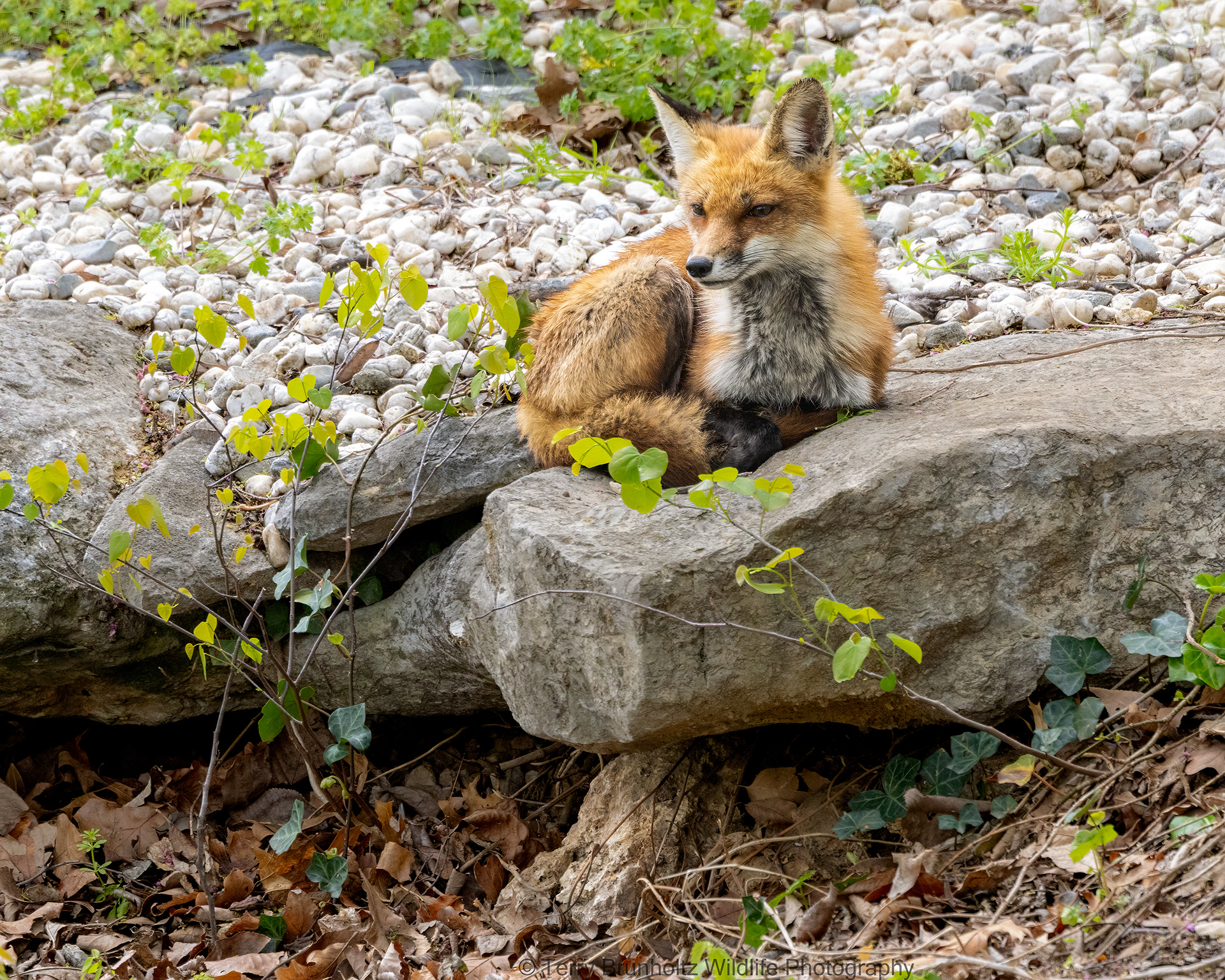 Taking a Break