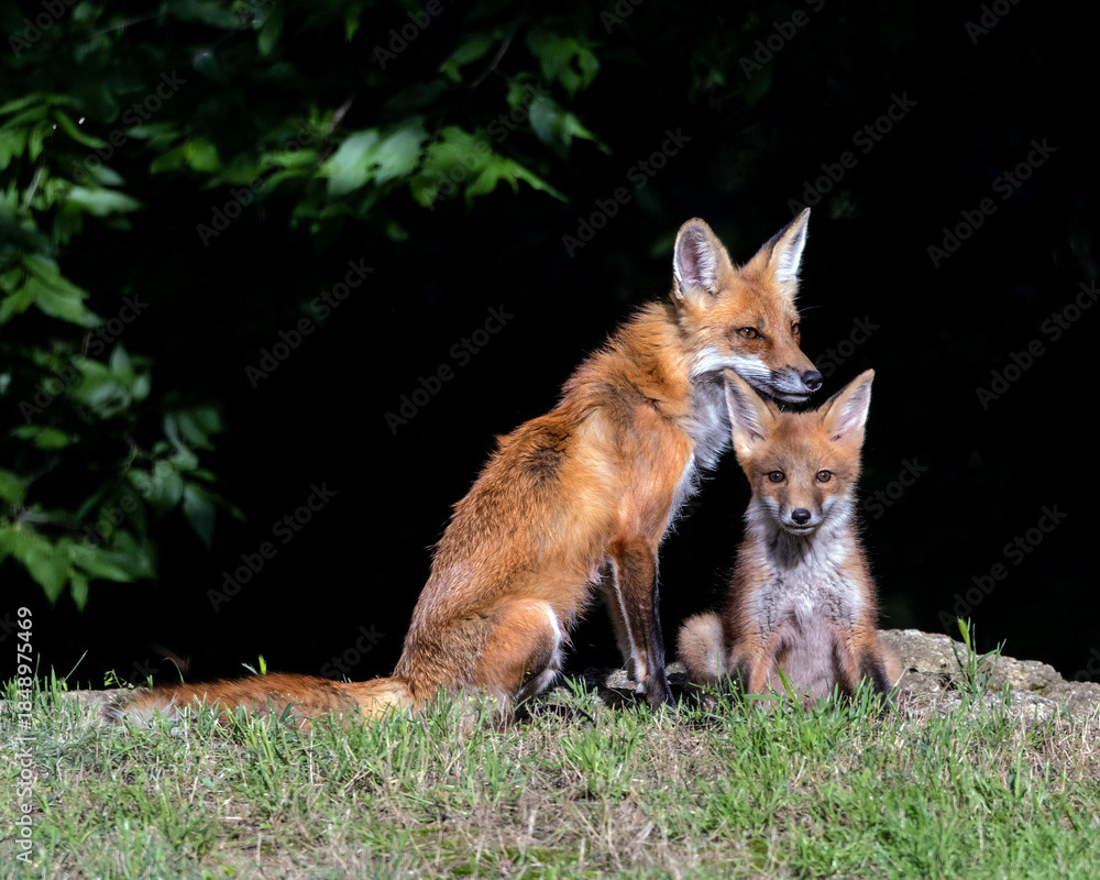 A Quiet Moment