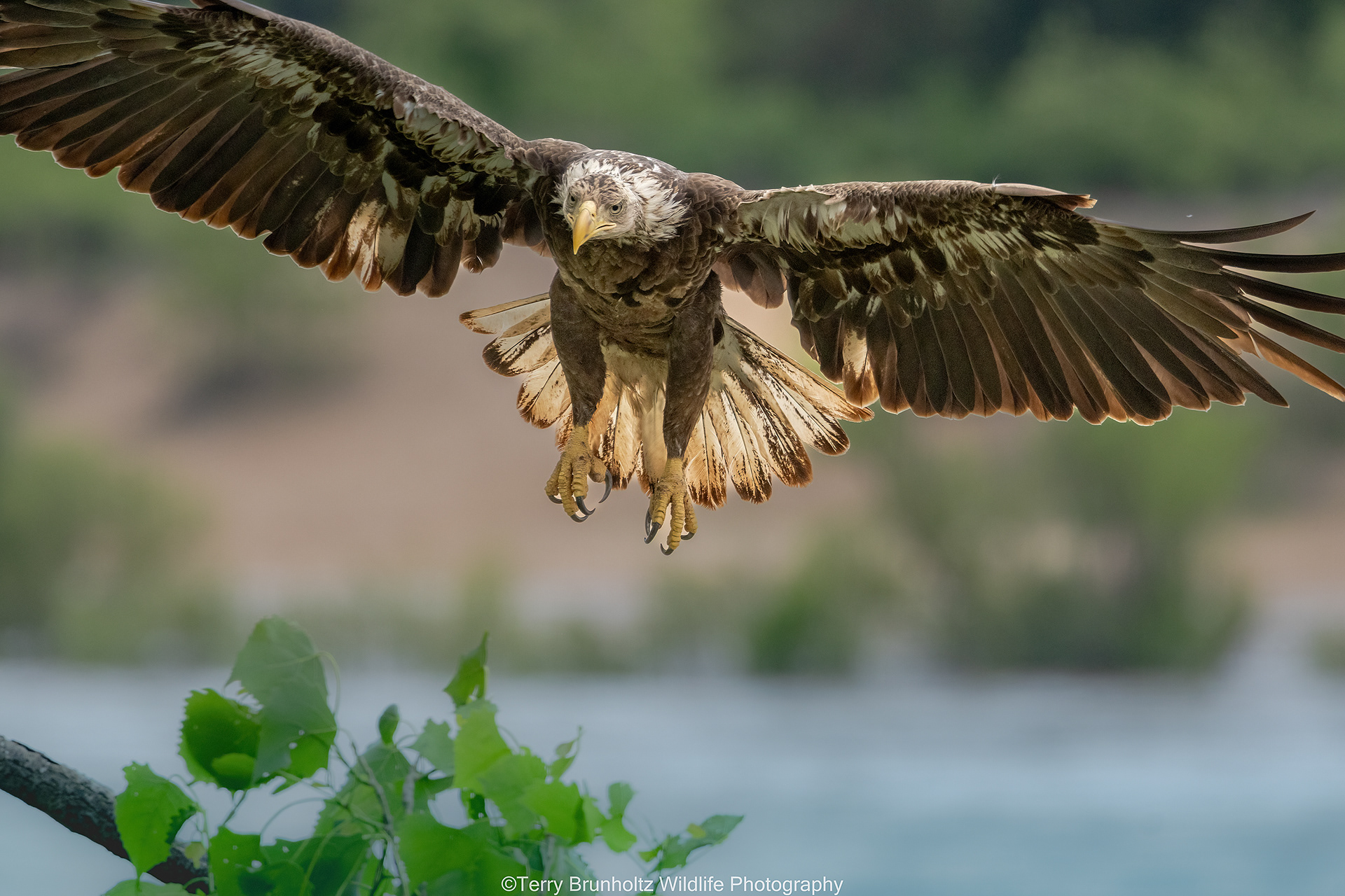 Locked in on Landing