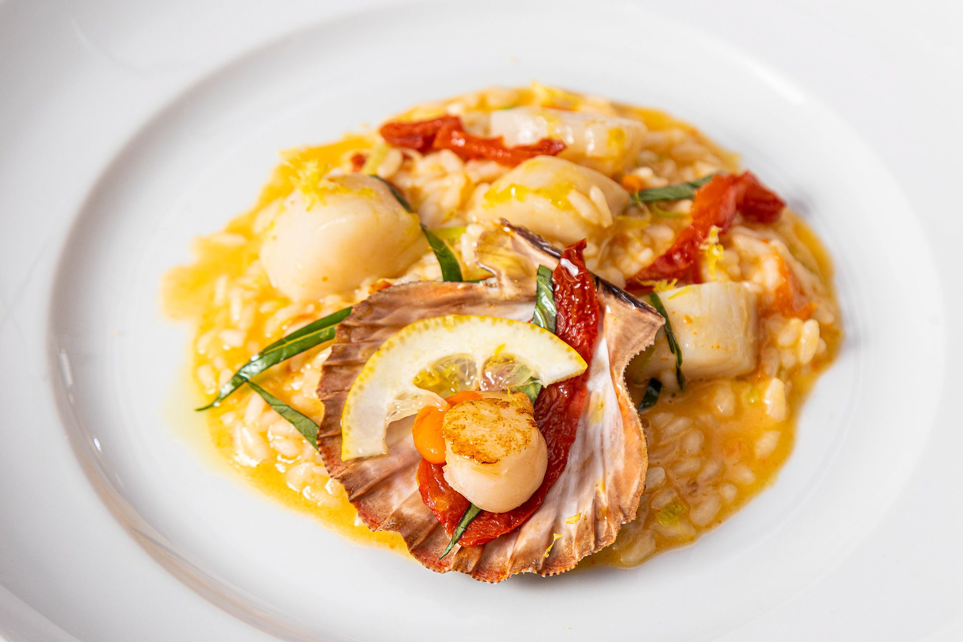 risoto de frutos do mar