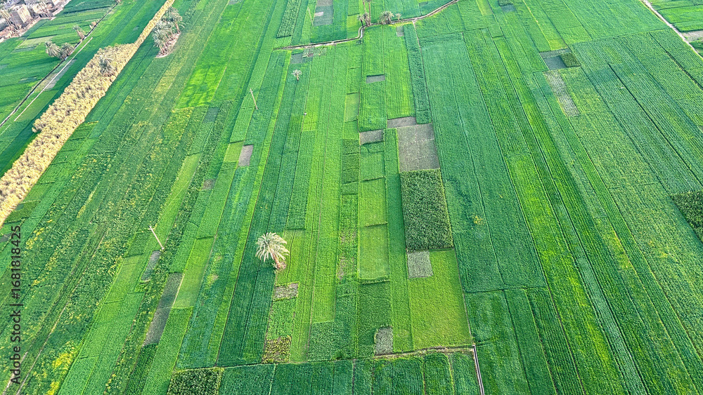 Hot air balloon ride, Luxor
