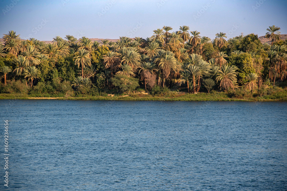 Nile Landscape