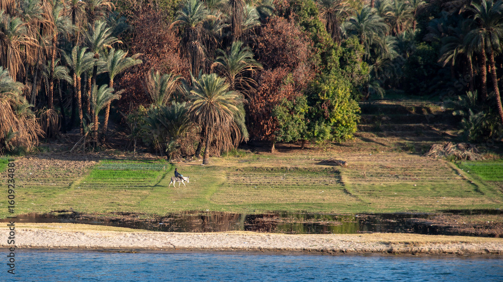 Nile Landscape