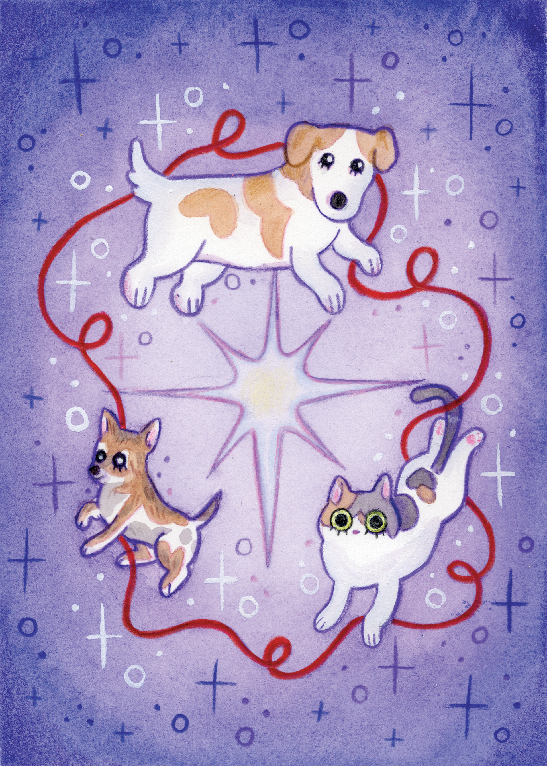 Pet Portrait