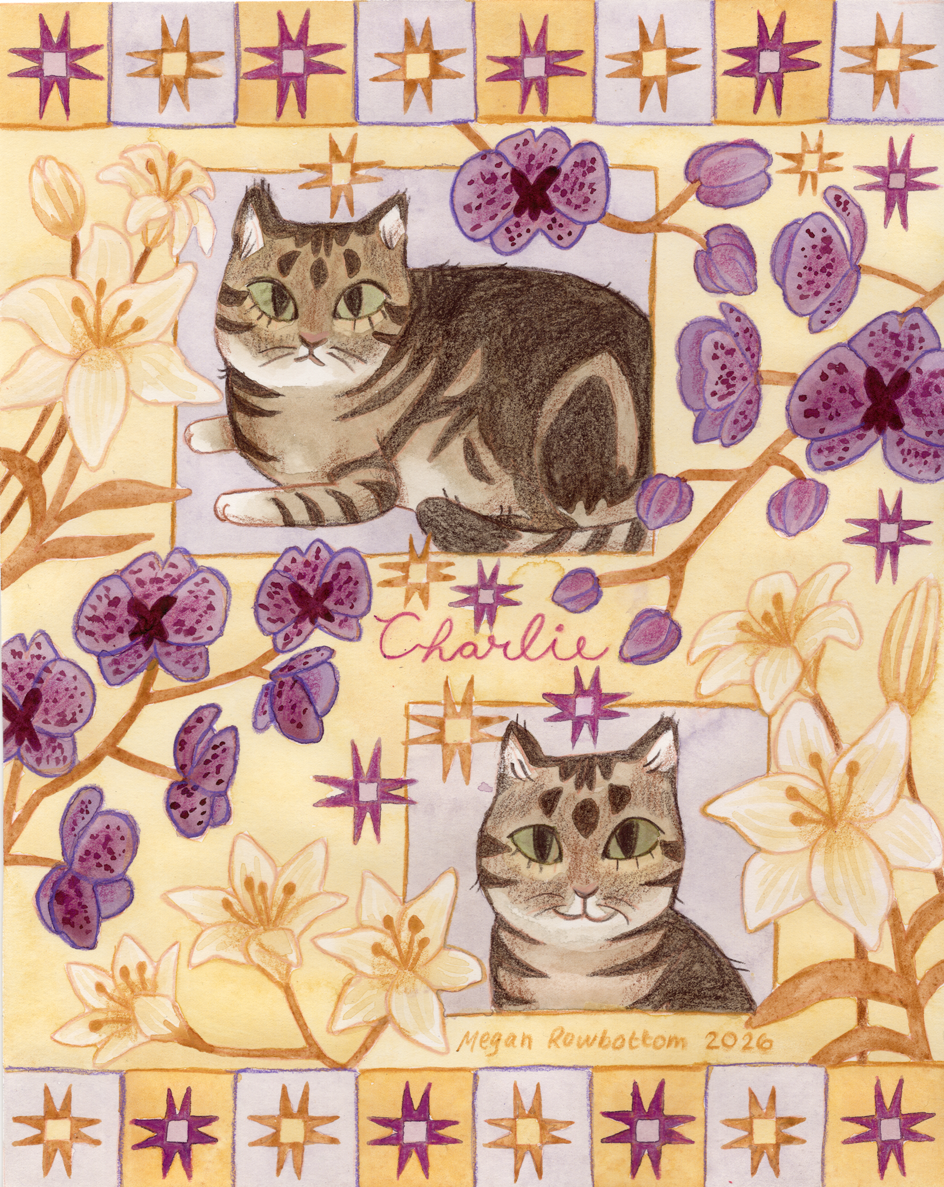 Pet Portrait